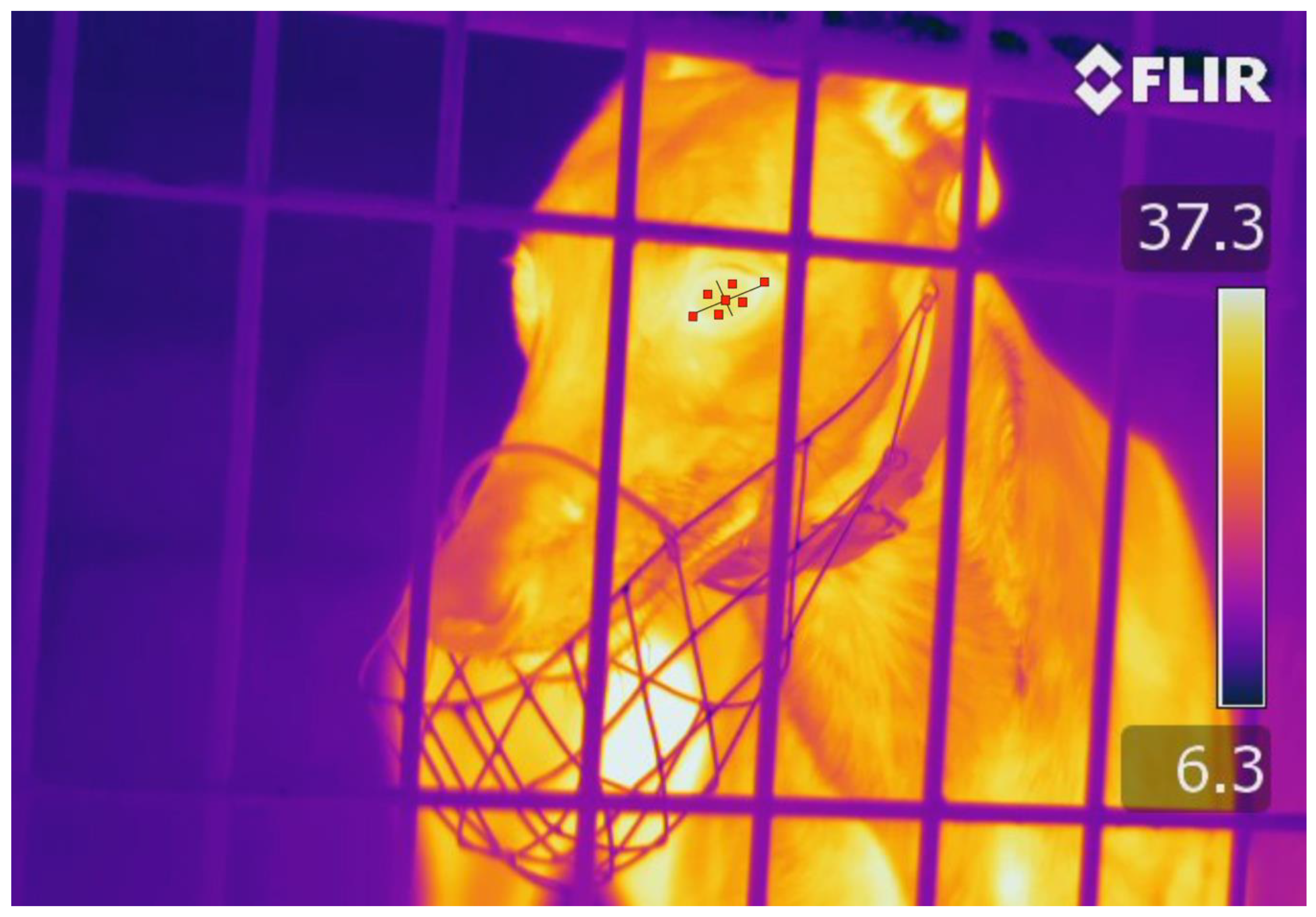 Animals 11 00103 g002