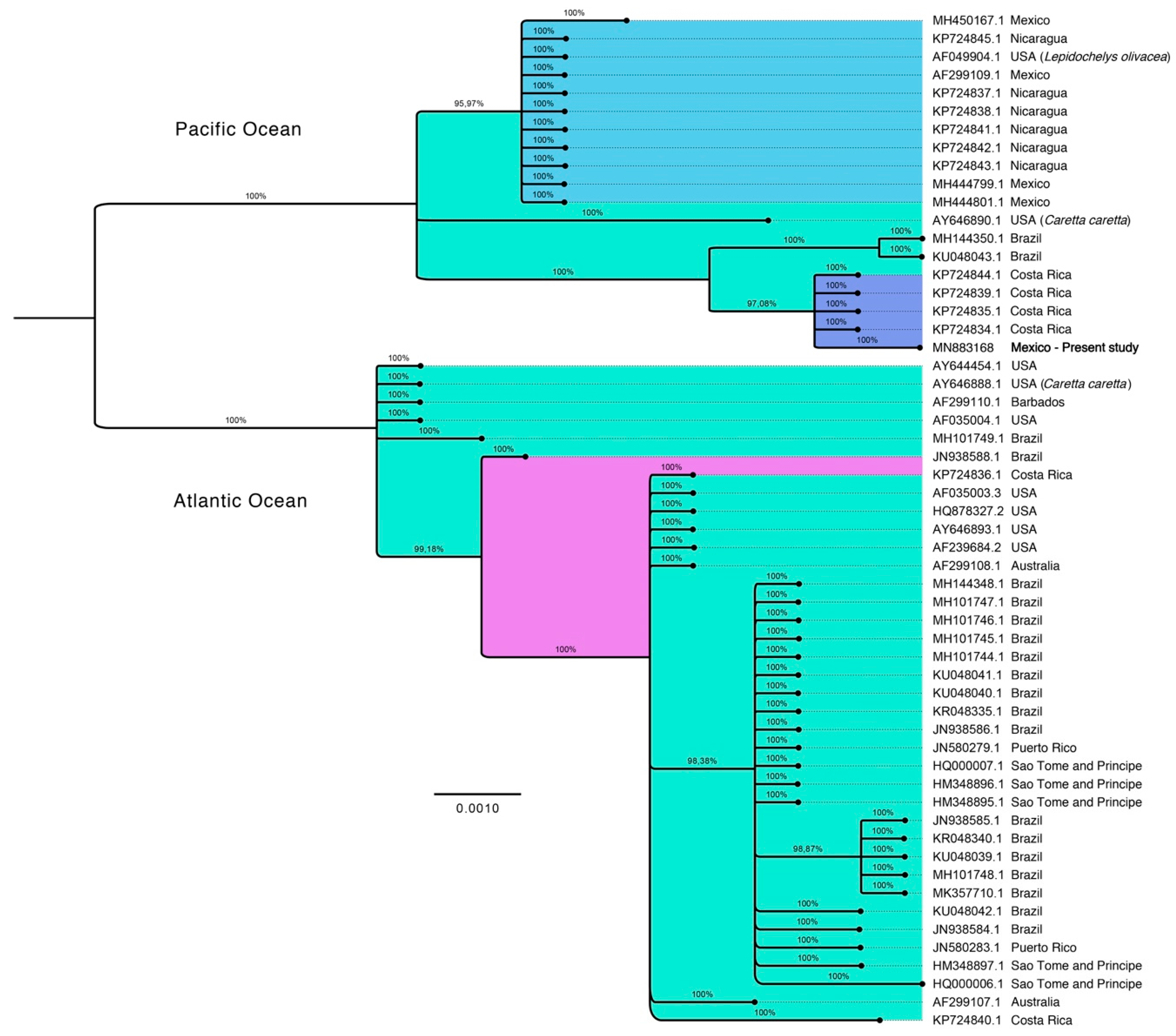 Animals 11 00105 g003 Animals 11 00105 g003