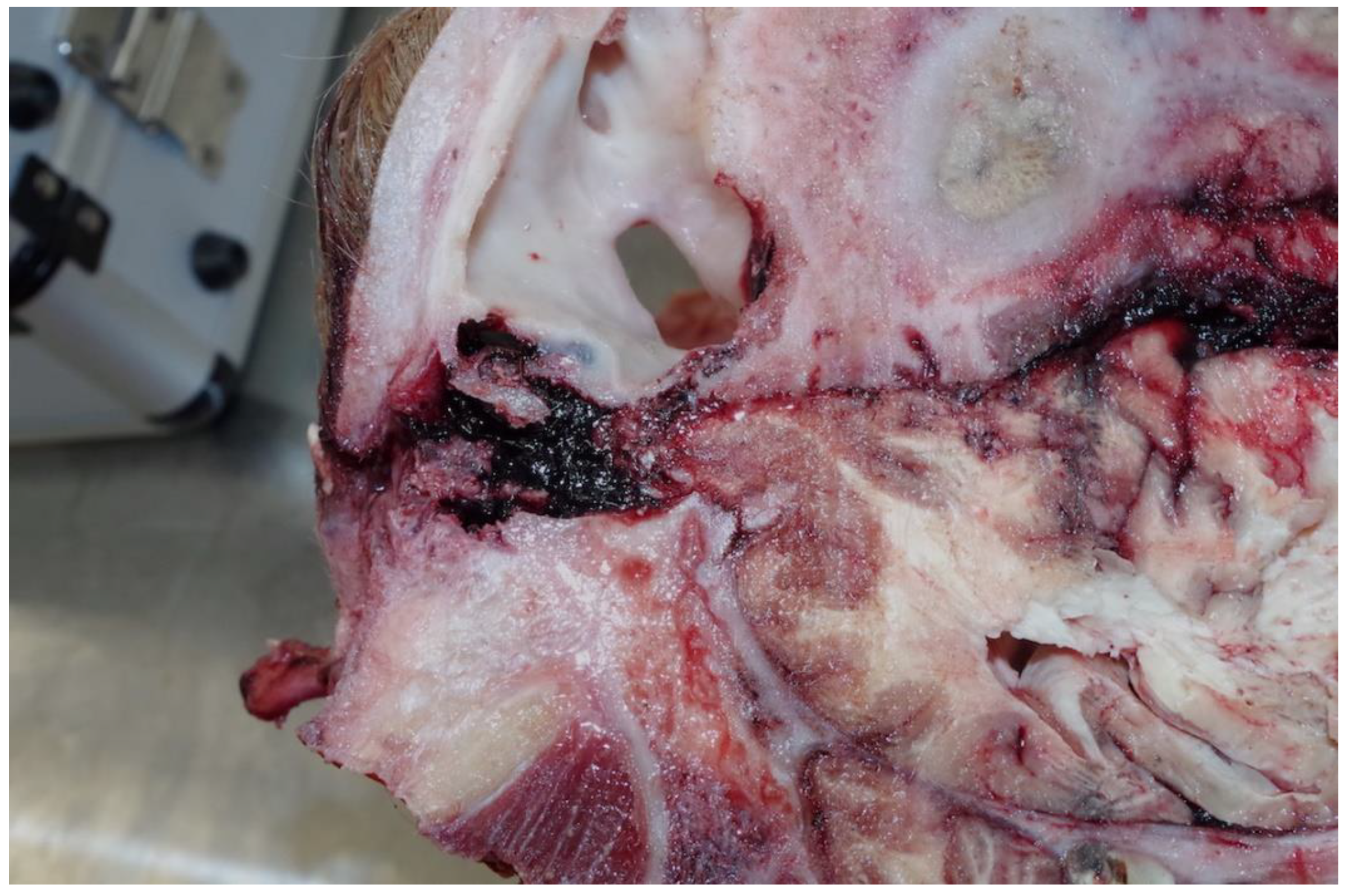 Animals 11 00116 g005