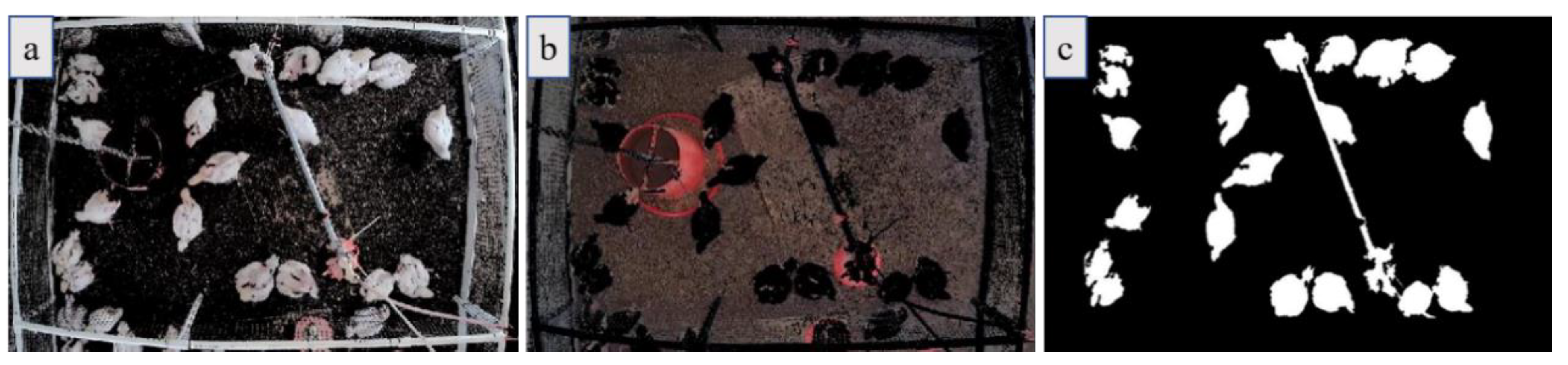 Animals 11 00123 g002 Animals 11 00123 g002