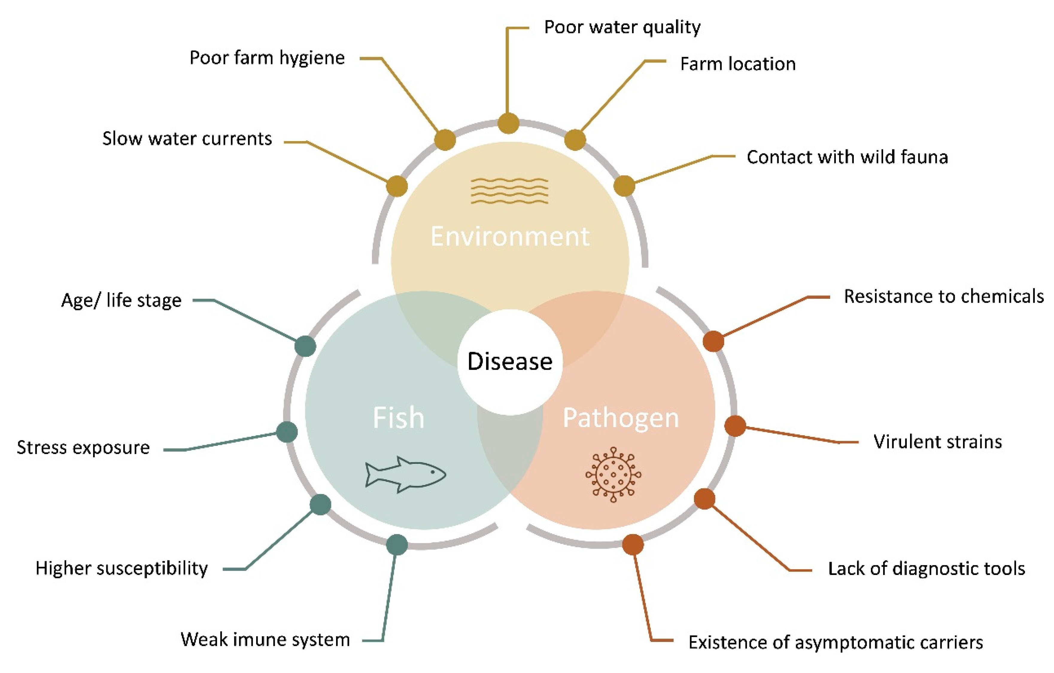 Animals 11 00125 g001 Animals 11 00125 g001
