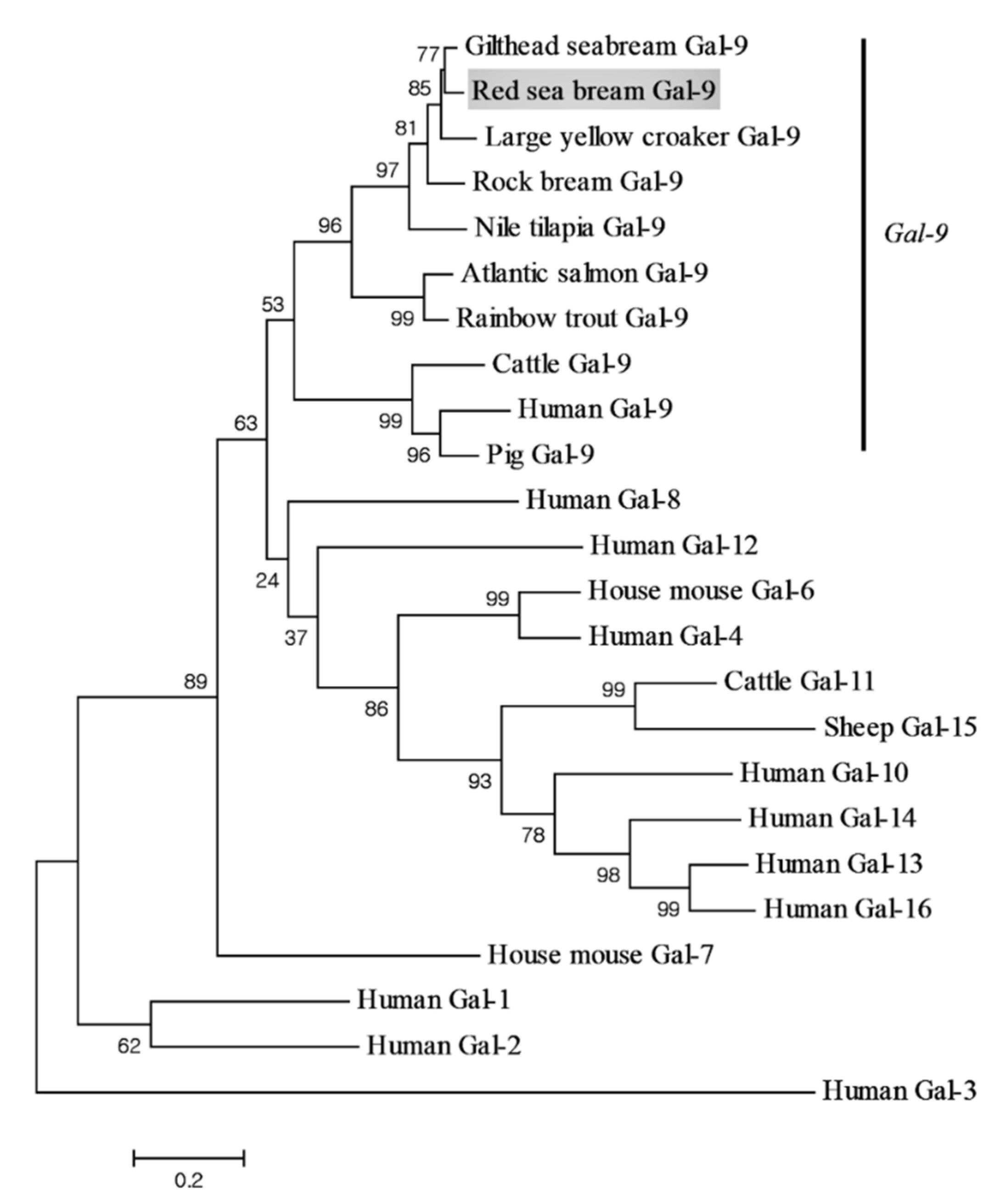 Animals 11 00139 g002