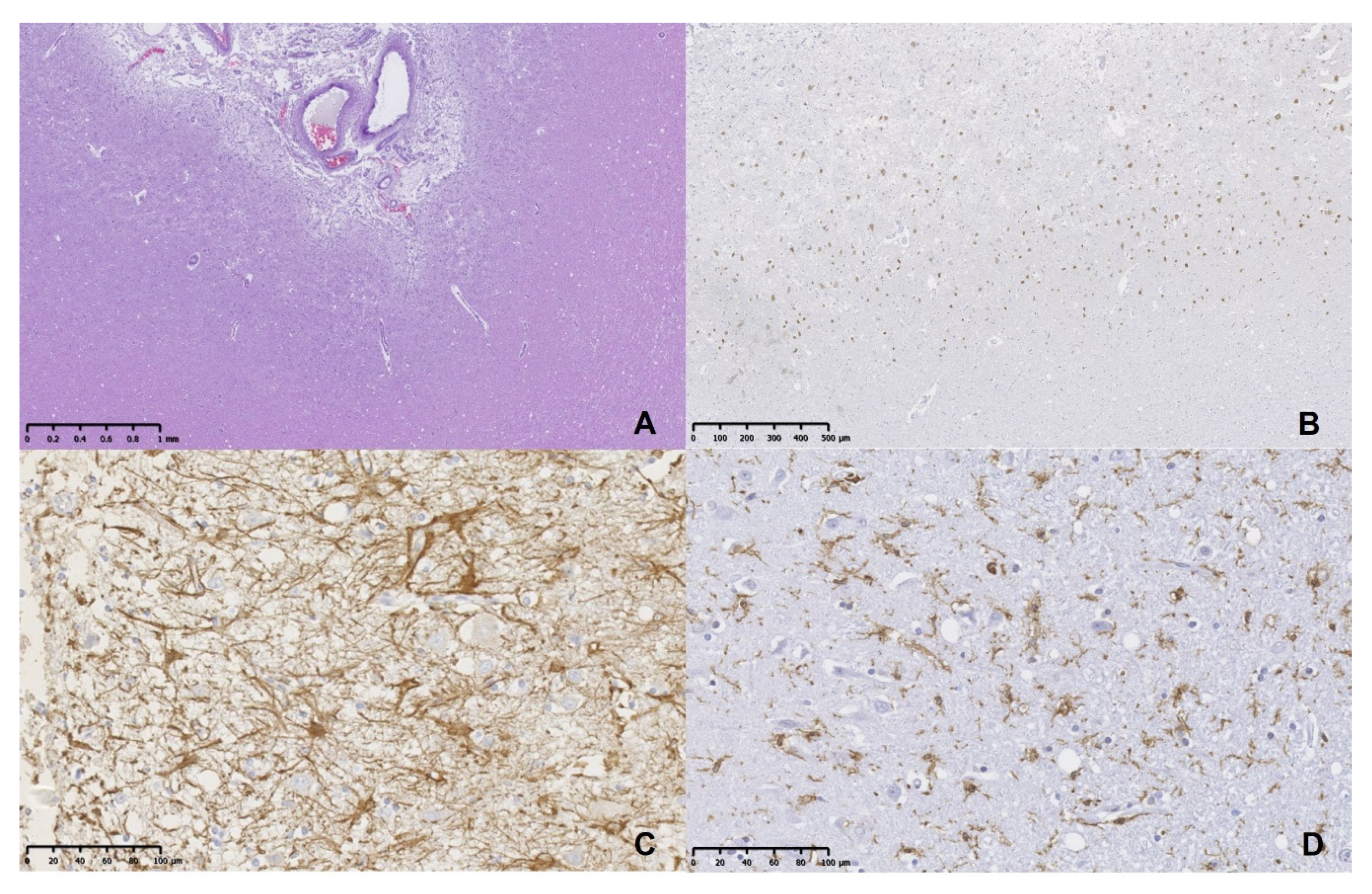 Animals 11 00143 g003