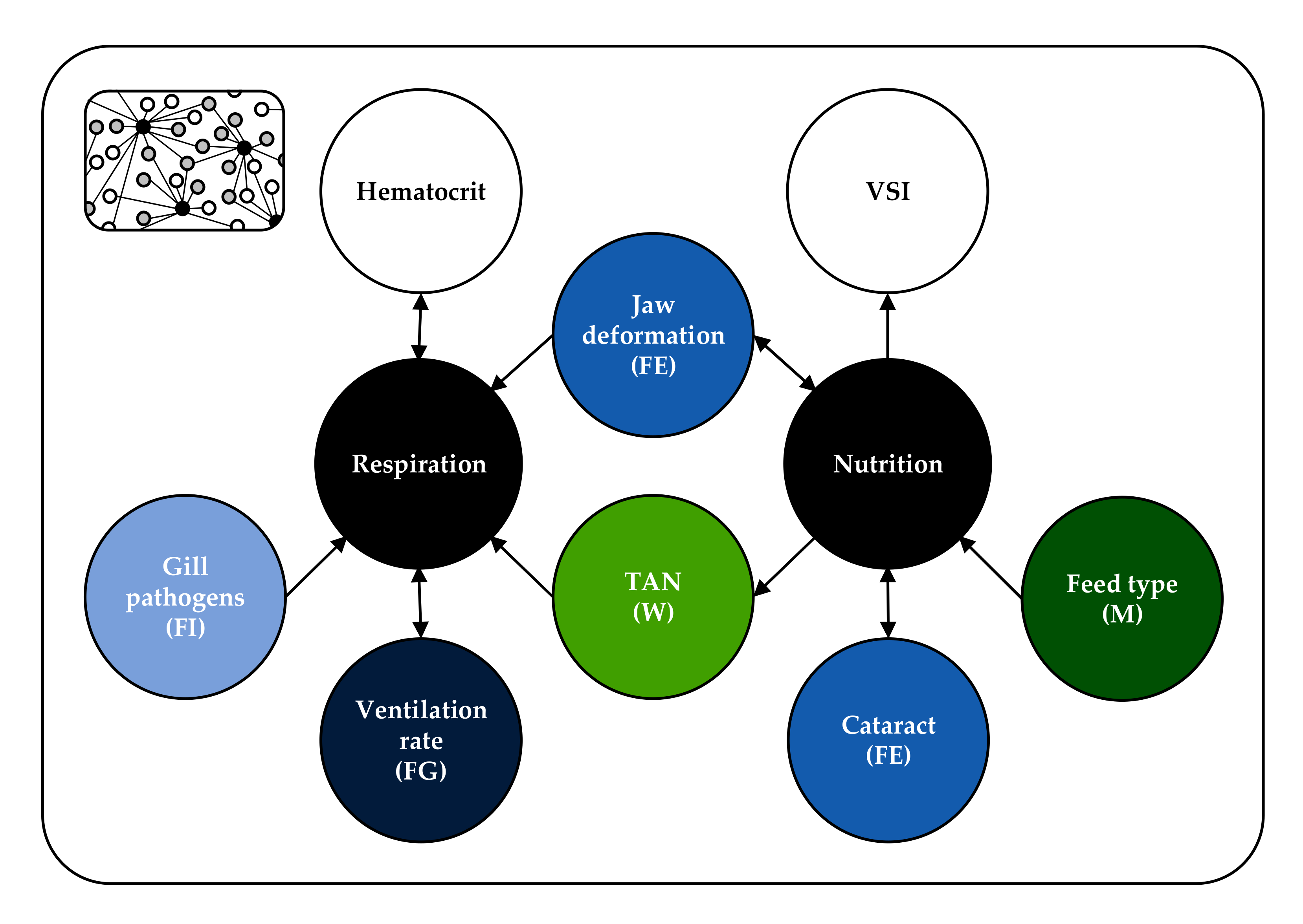 Animals 11 00145 g002 Animals 11 00145 g002
