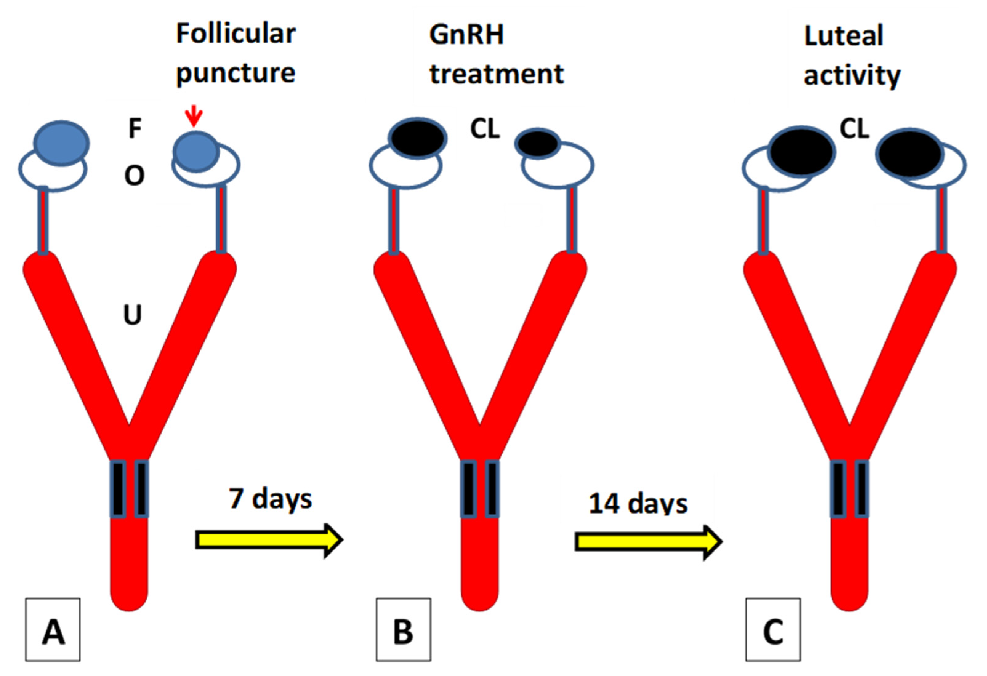 Animals 11 00148 g002 Animals 11 00148 g002
