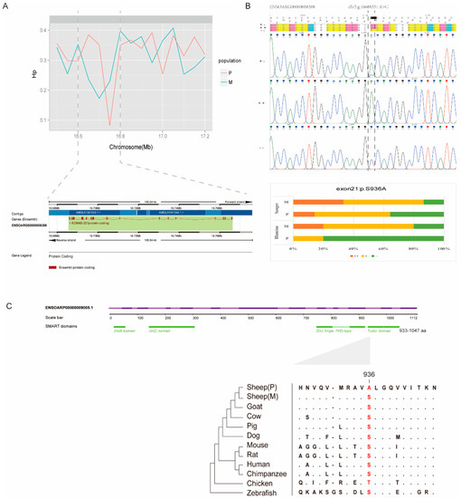 Whole Genome Sequencing Reveals the Effects of Recent Artificial