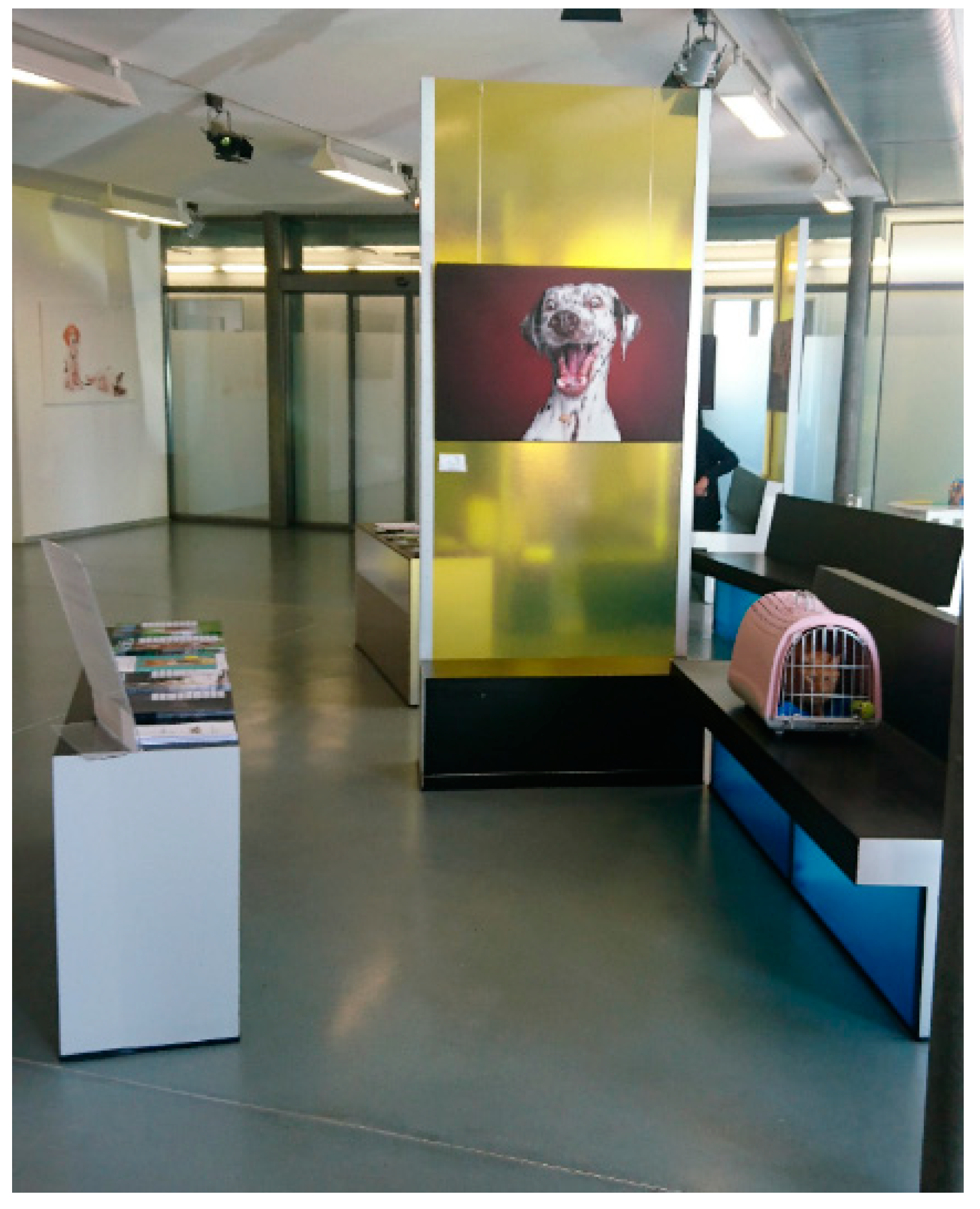 Animals 11 00158 g001