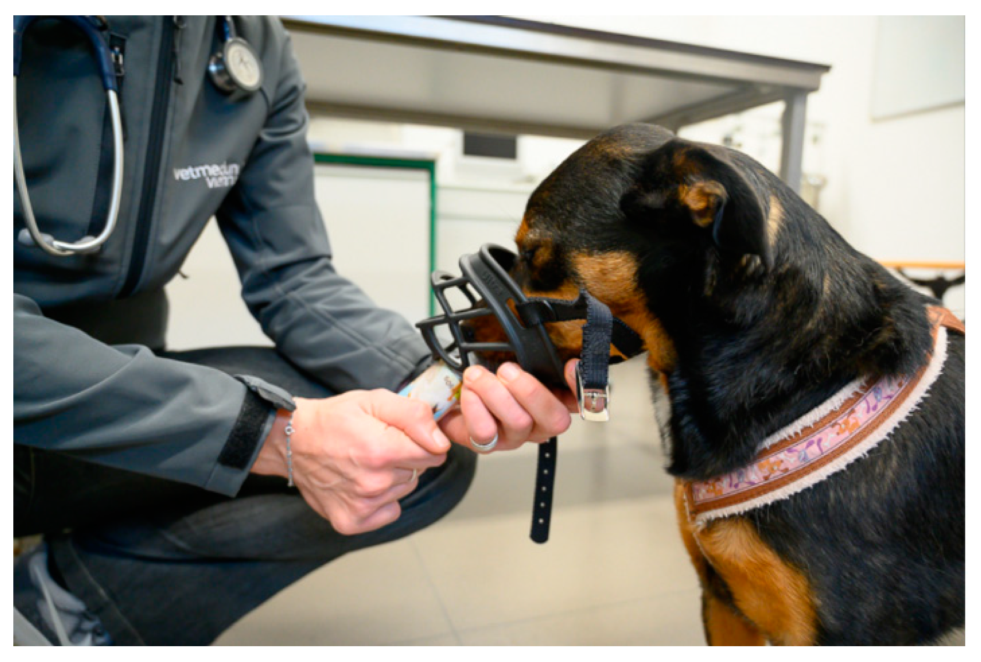 Animals Free Full Text A Review On Mitigating Fear And Aggression In Dogs And Cats In A Veterinary Setting Html Animals Free Full Text A Review On Mitigating Fear And Aggression In Dogs And Cats In A Veterinary Setting Html