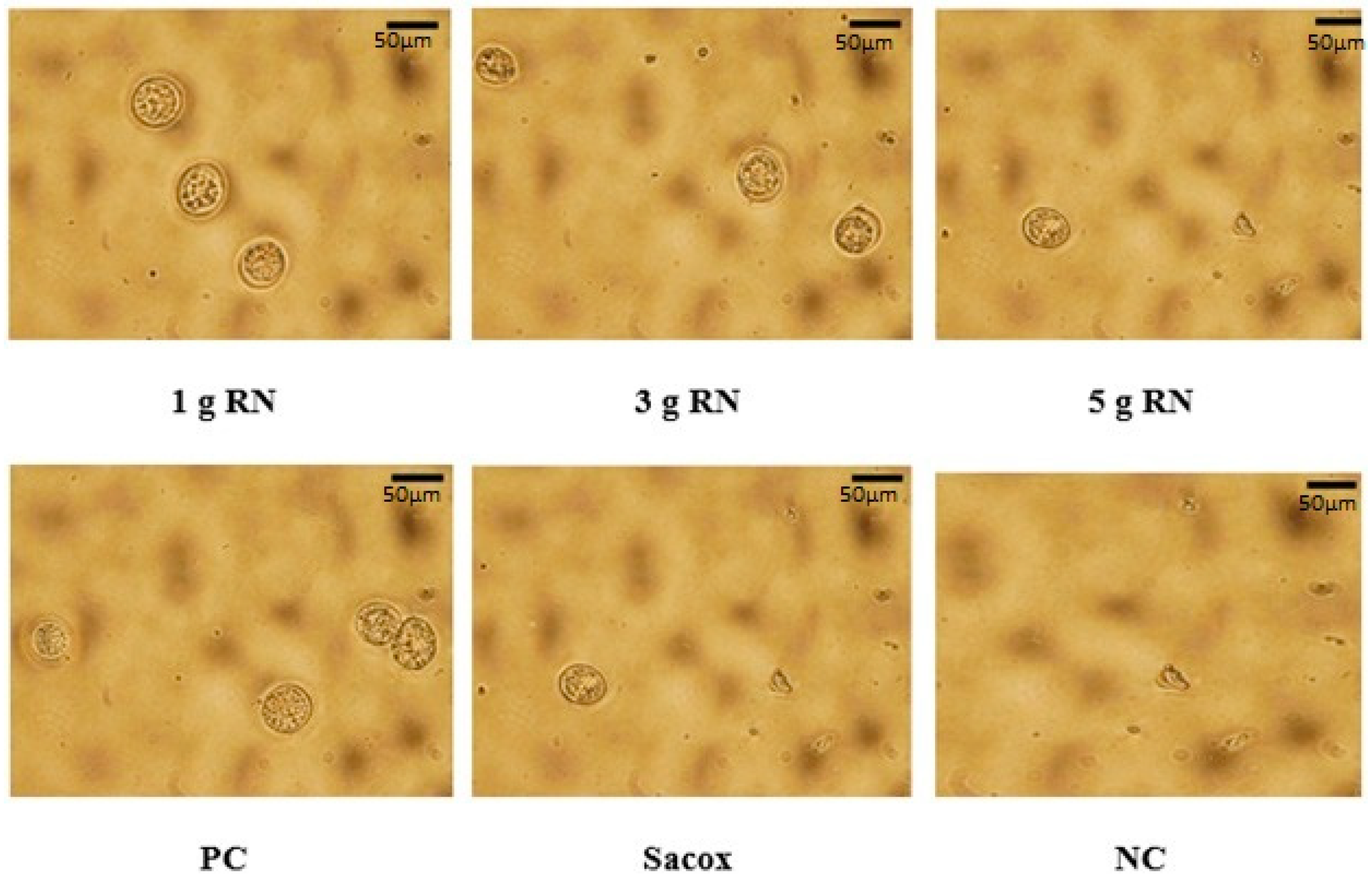 Animals 11 00167 g003 Animals 11 00167 g003