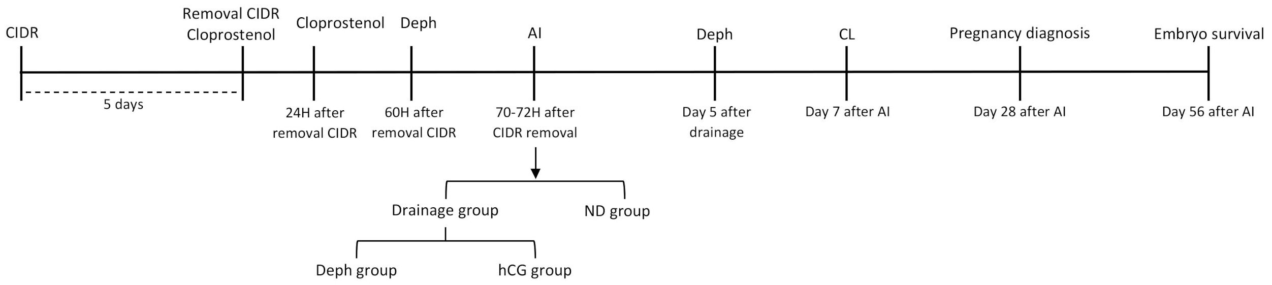 Animals 11 00169 g001 Animals 11 00169 g001