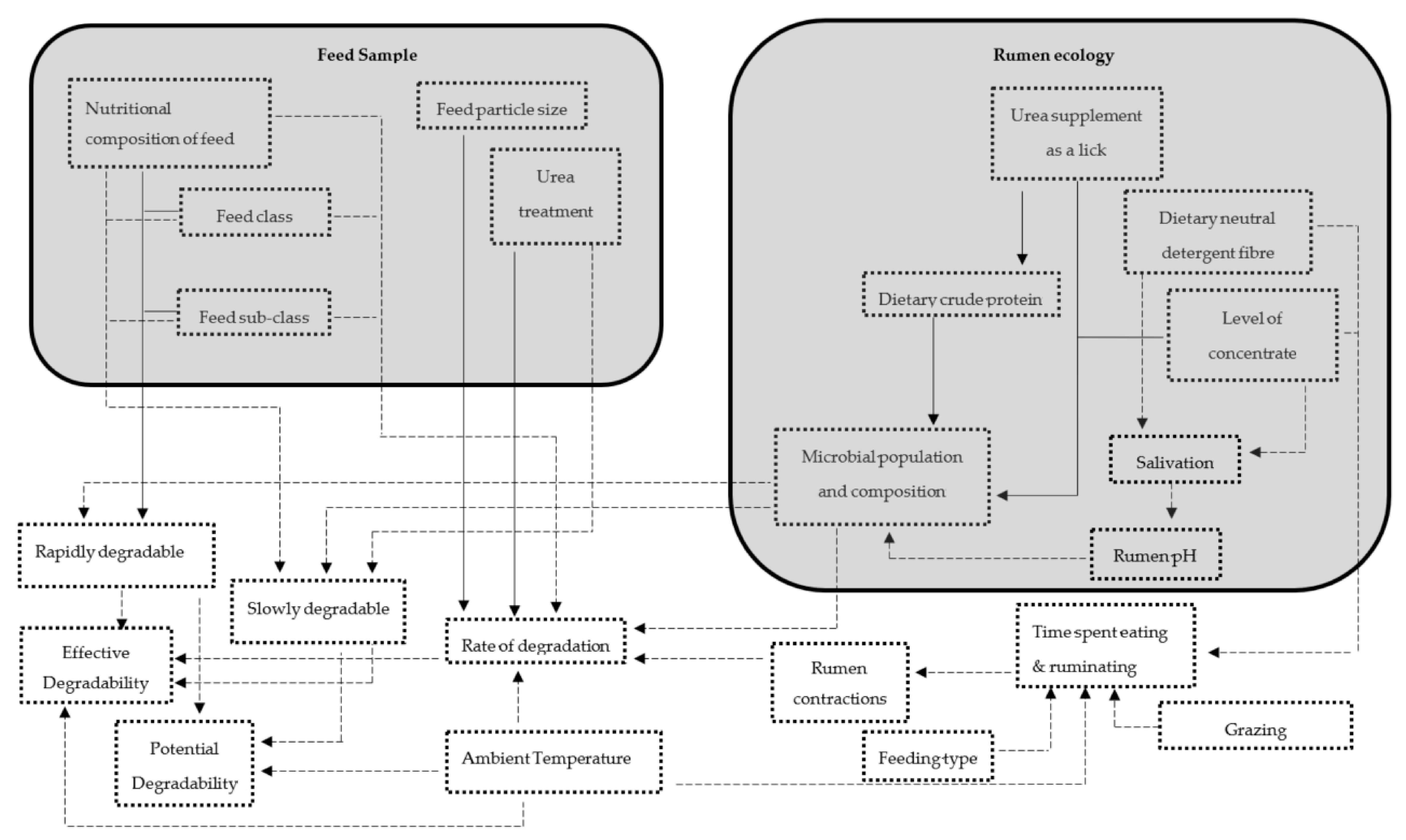 Animals 11 00172 g001