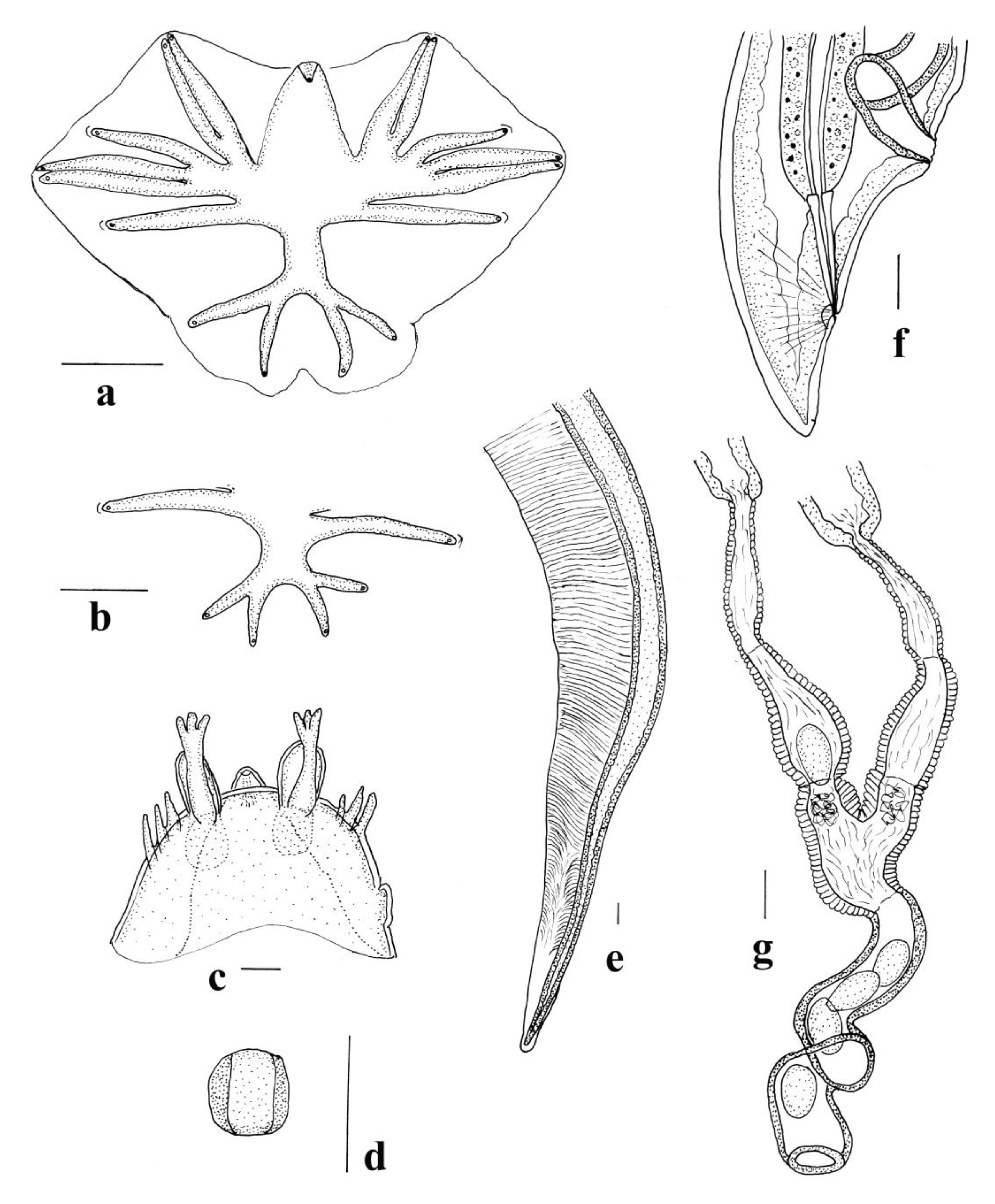 Animals 11 00175 g002 550