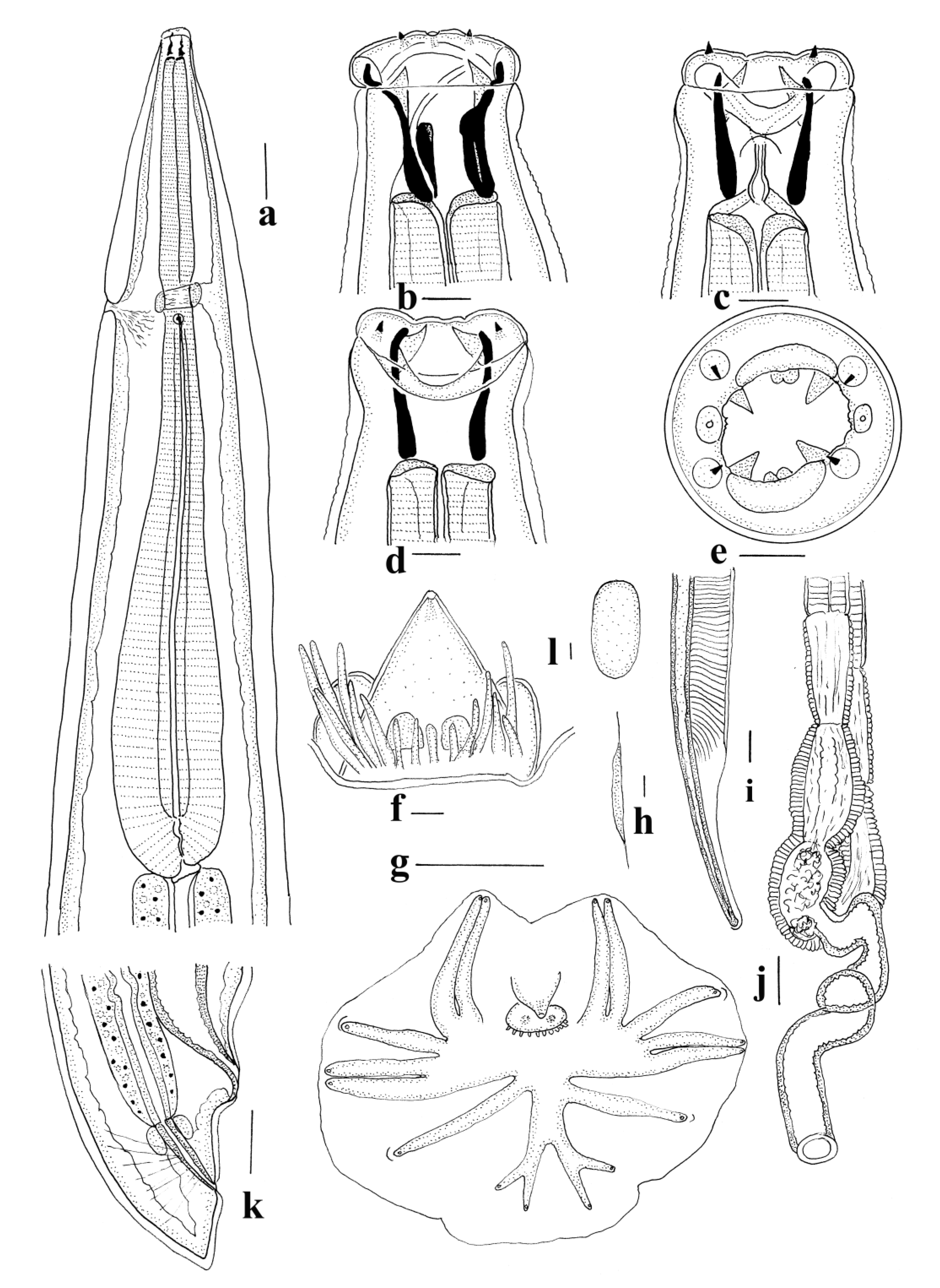 Animals 11 00175 g005 550