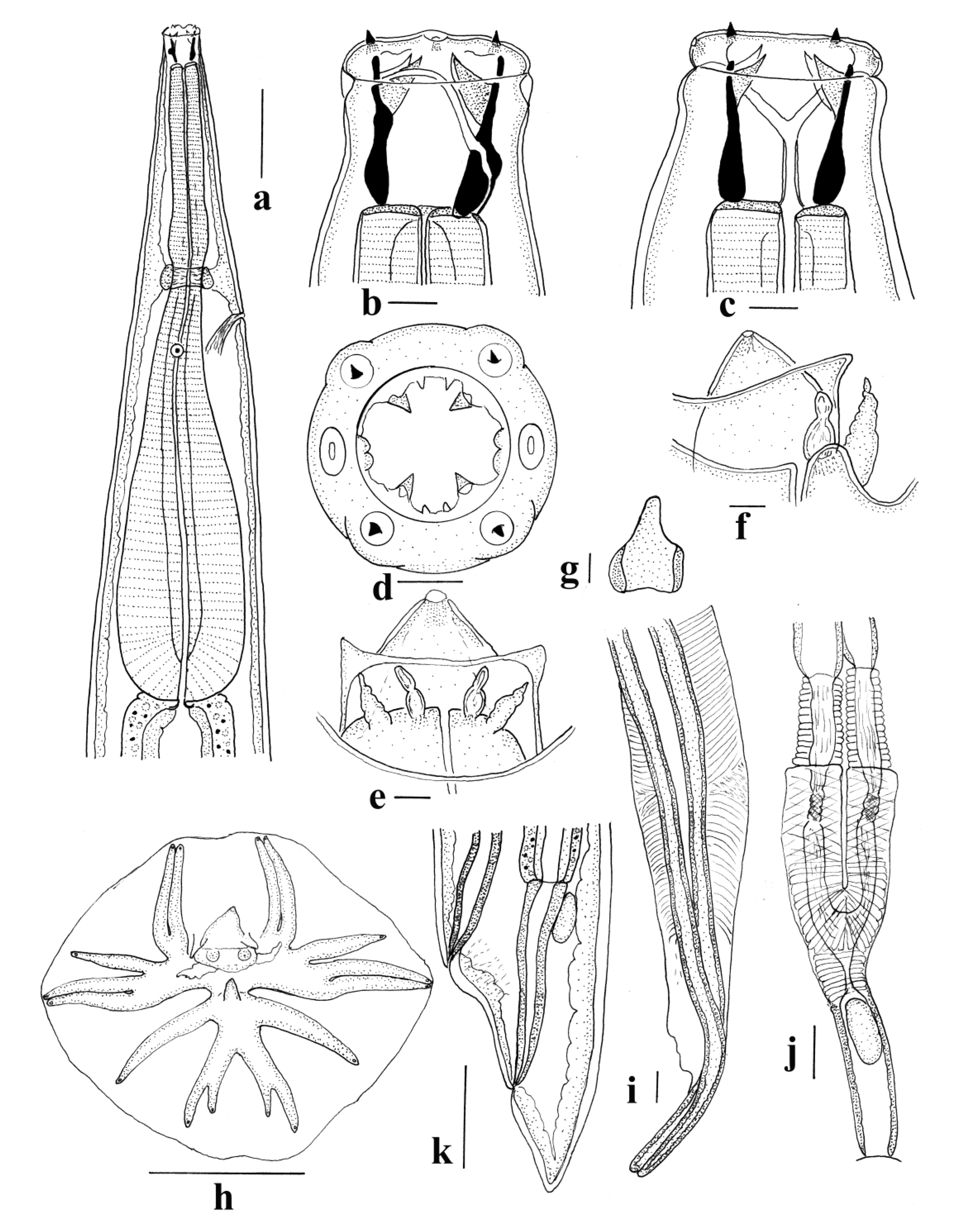 Animals 11 00175 g007 550