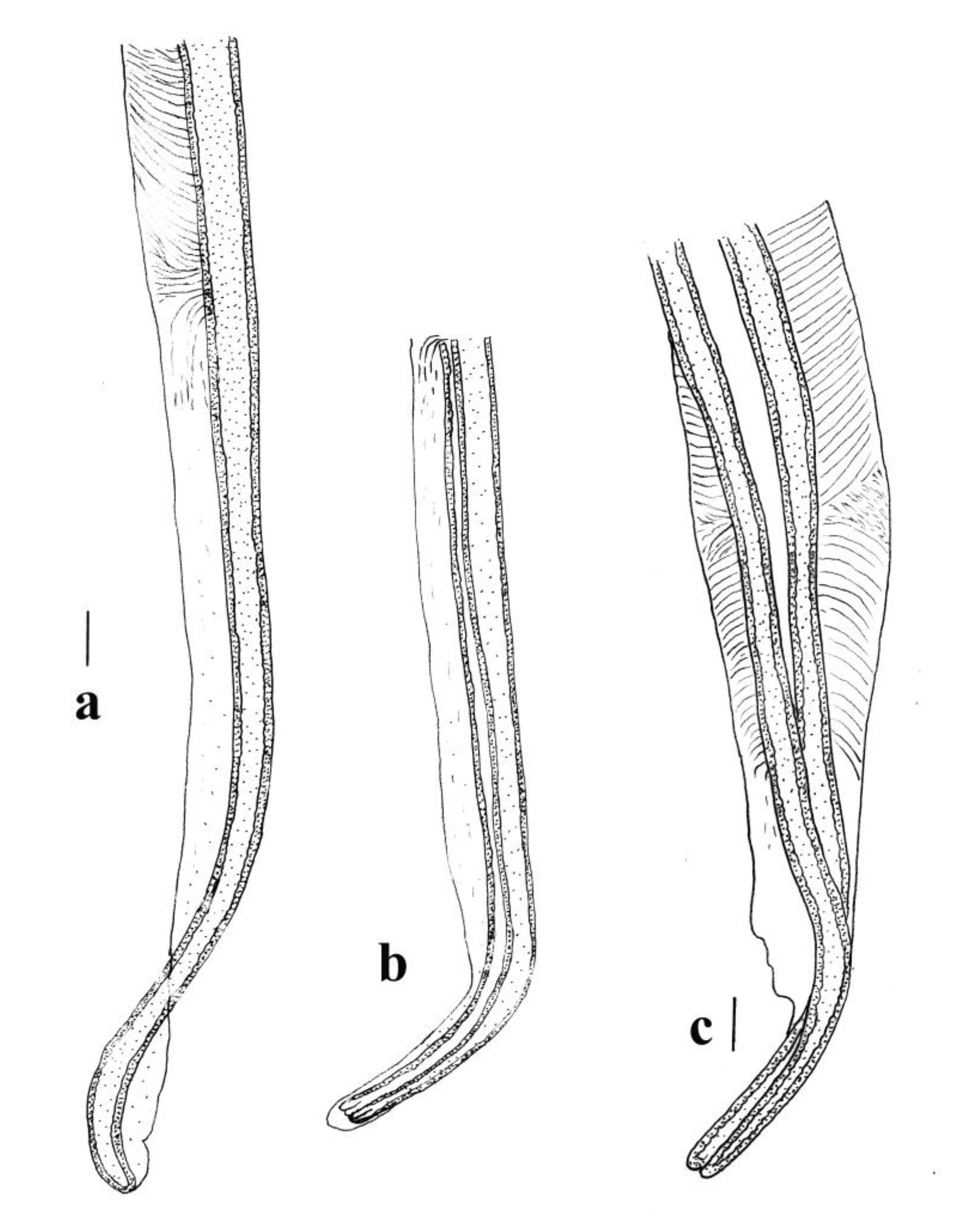 Animals 11 00175 g008 550