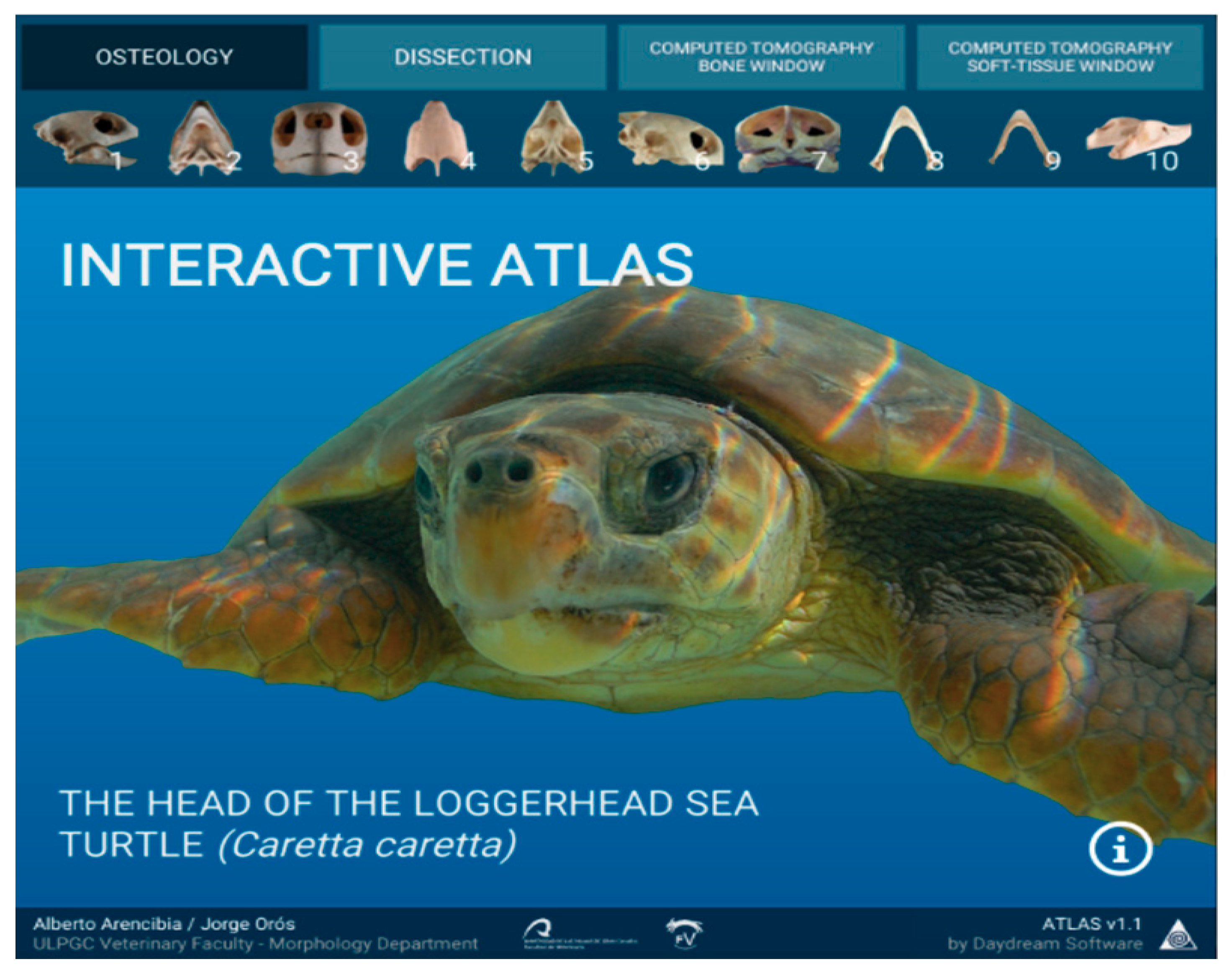 Animals 11 00198 g002 Animals 11 00198 g002