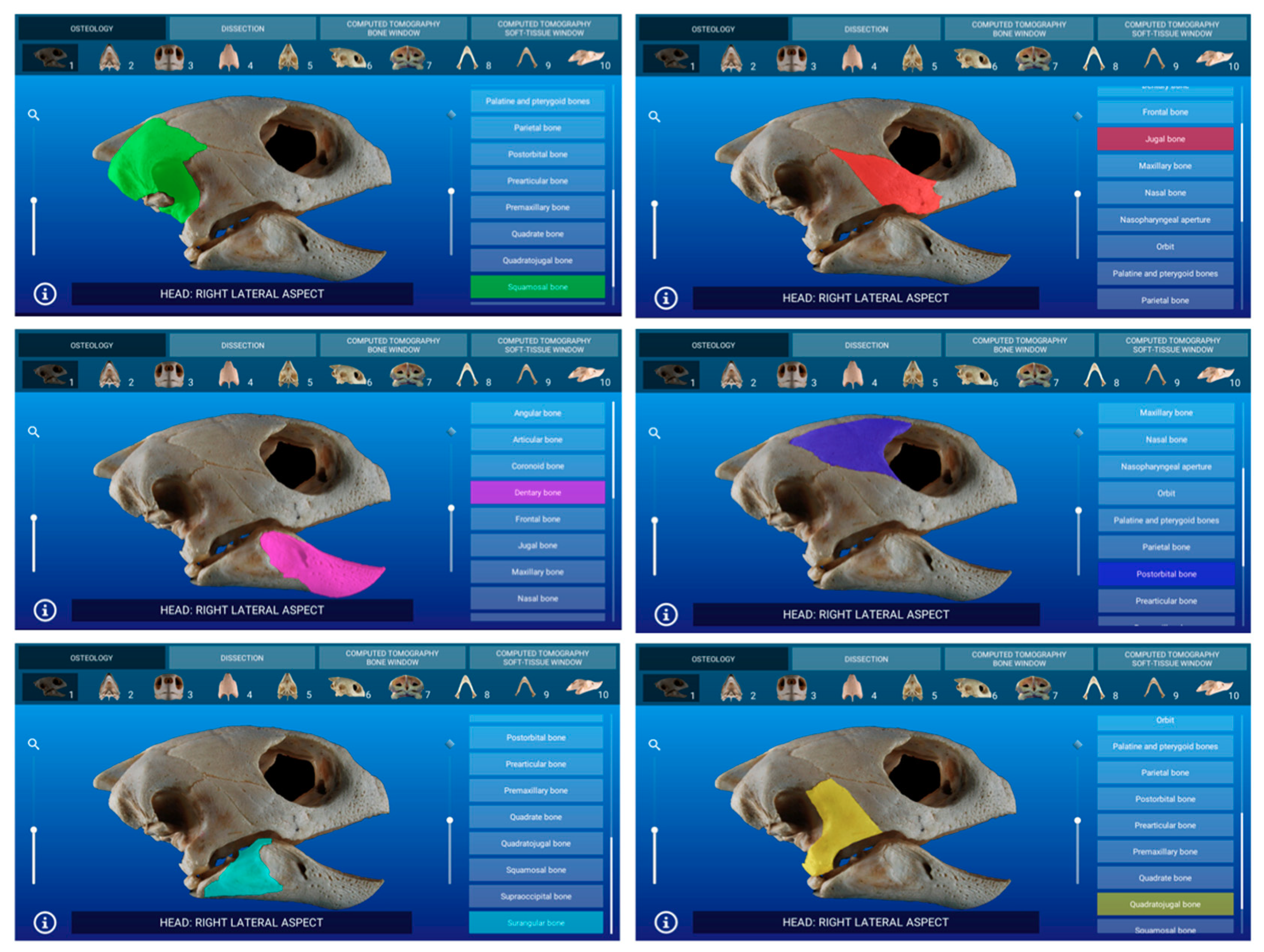 Animals 11 00198 g005 Animals 11 00198 g005