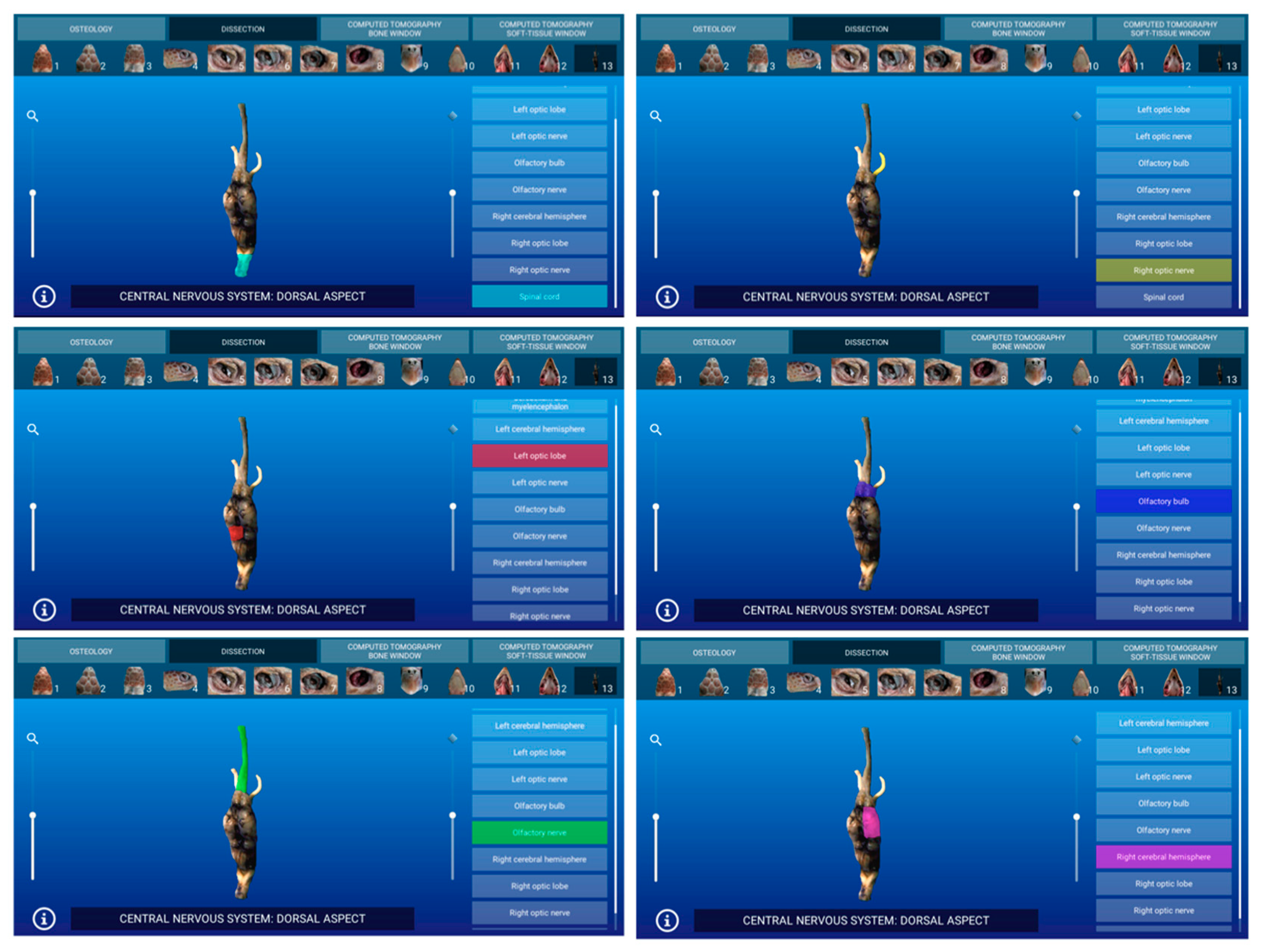 Animals 11 00198 g006 Animals 11 00198 g006