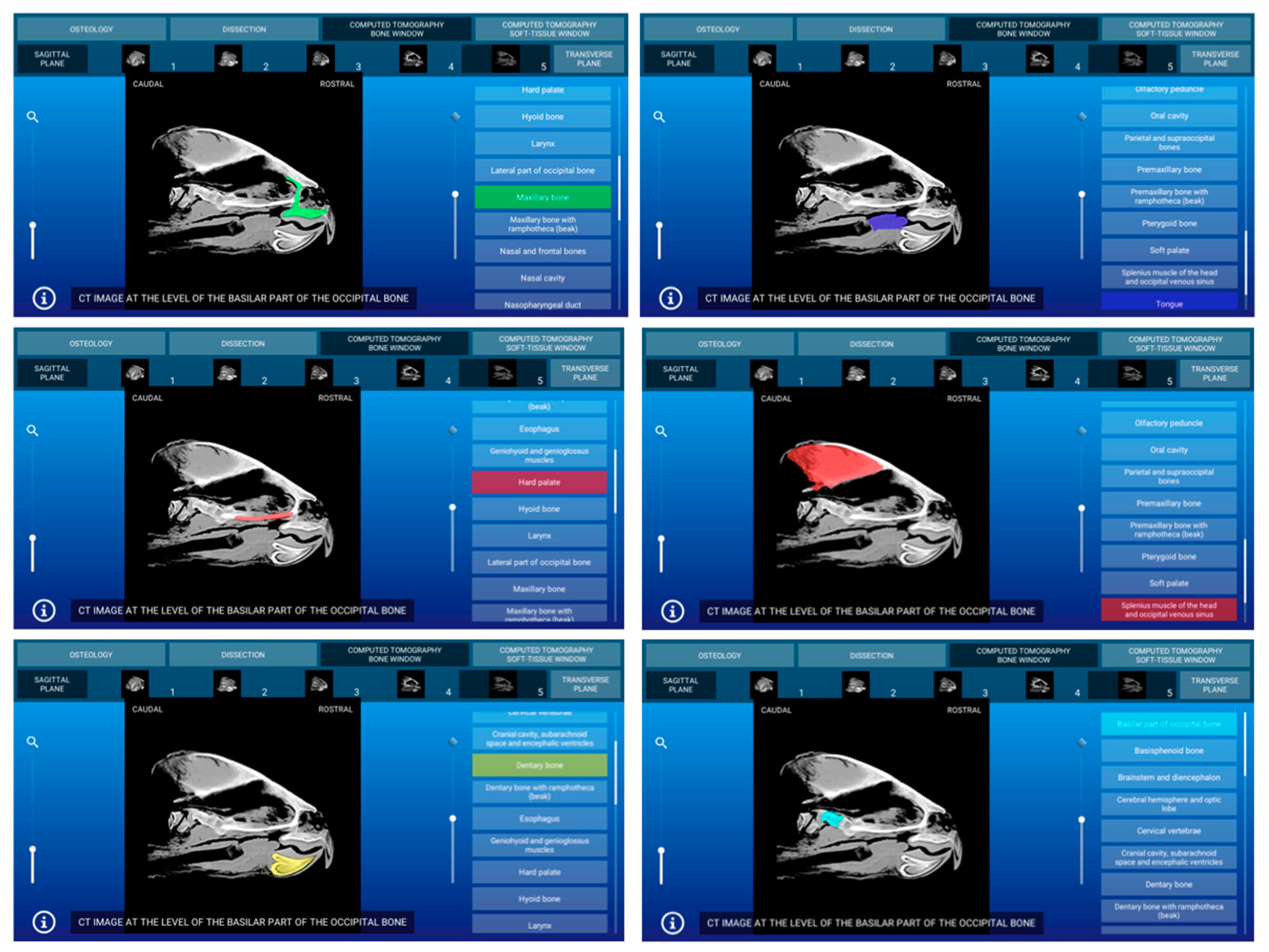 Animals 11 00198 g007 Animals 11 00198 g007