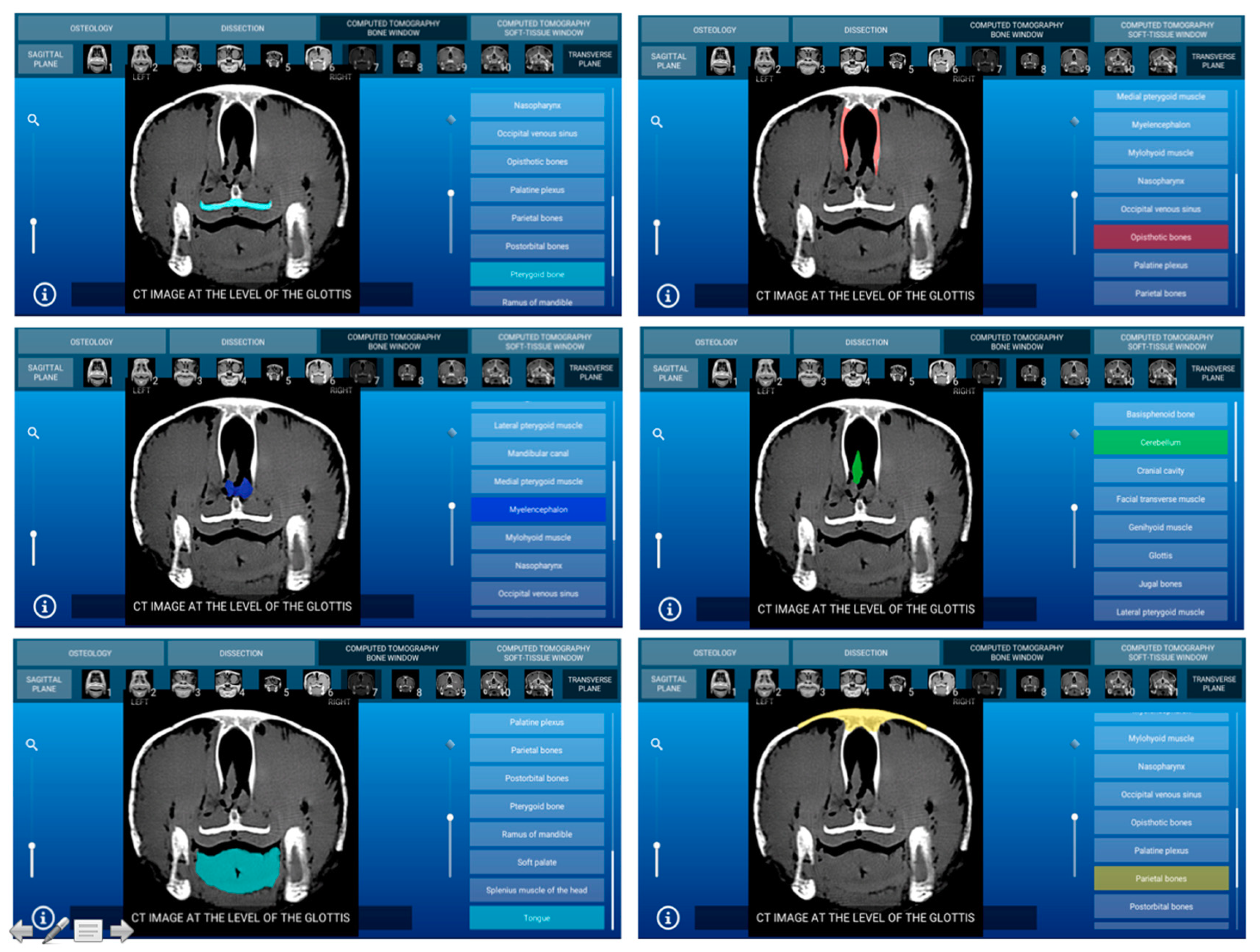 Animals 11 00198 g008 Animals 11 00198 g008