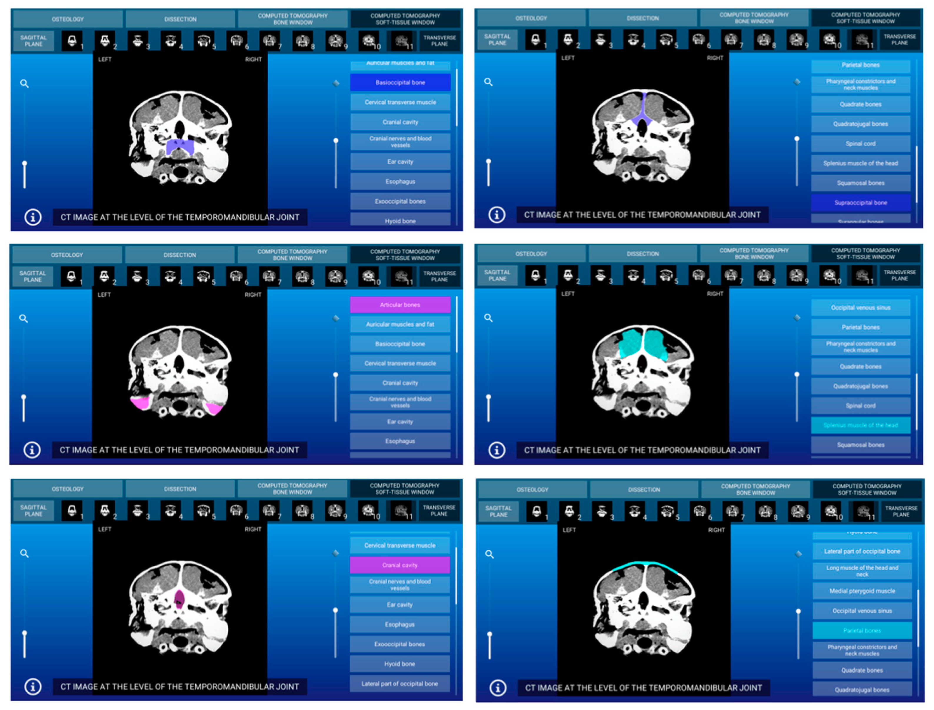 Animals 11 00198 g010 Animals 11 00198 g010