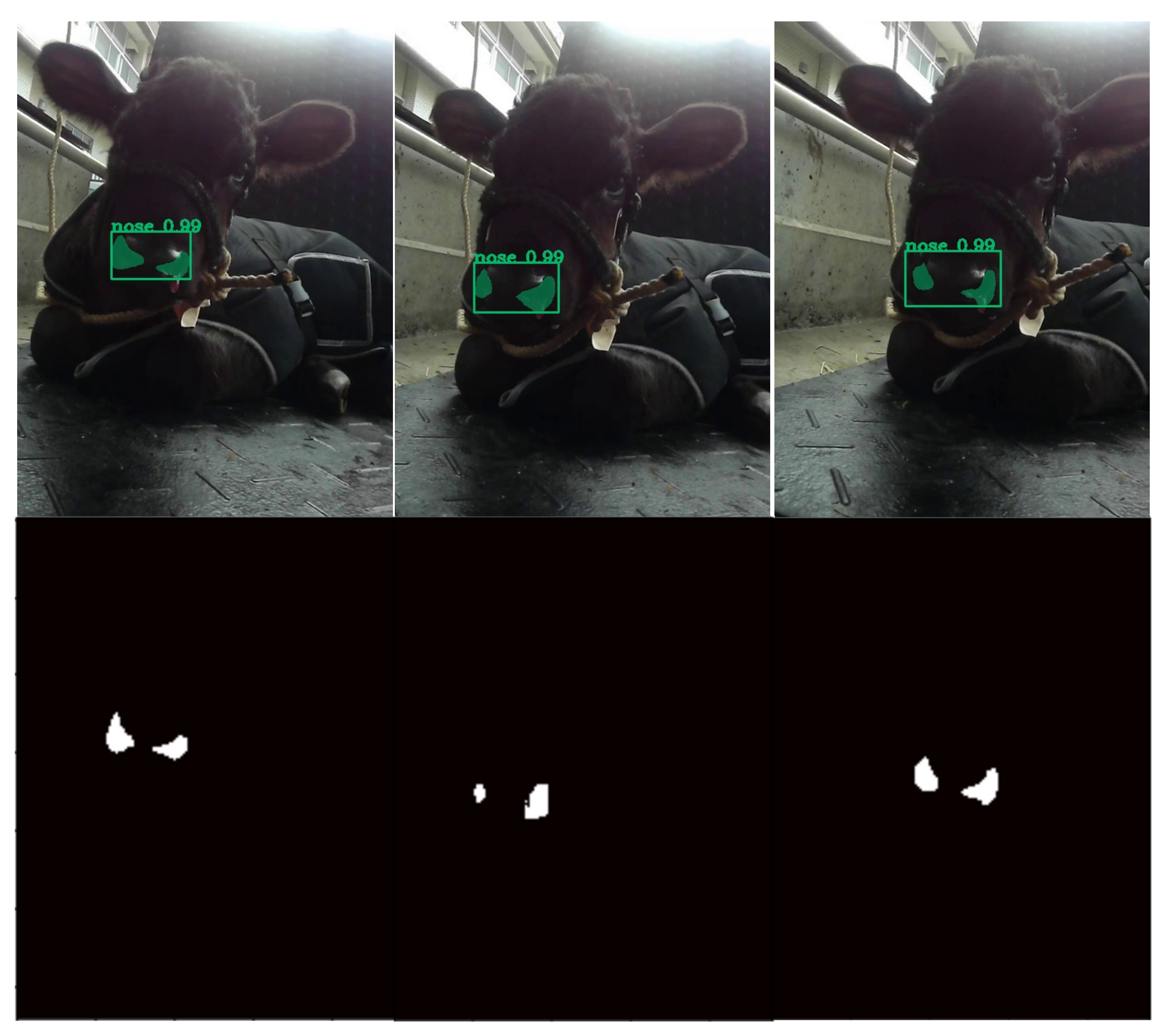 Animals 11 00207 g002 Animals 11 00207 g002