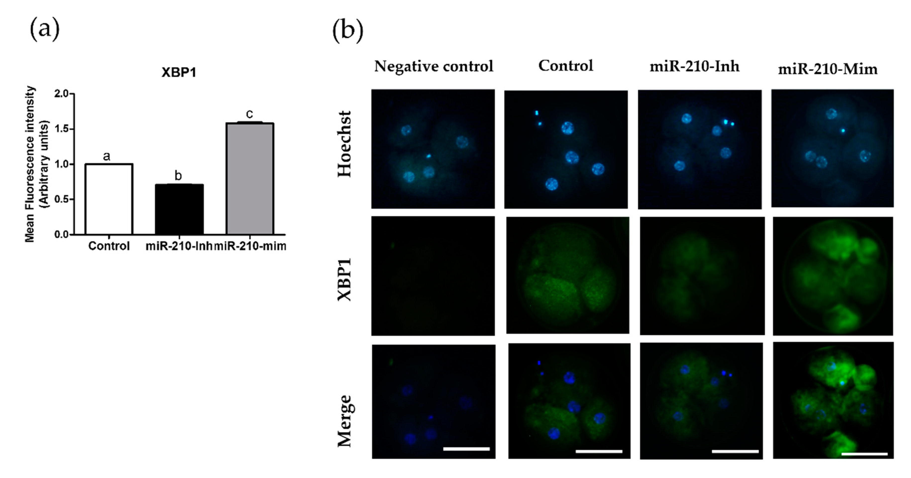 Animals 11 00221 g001 Animals 11 00221 g001