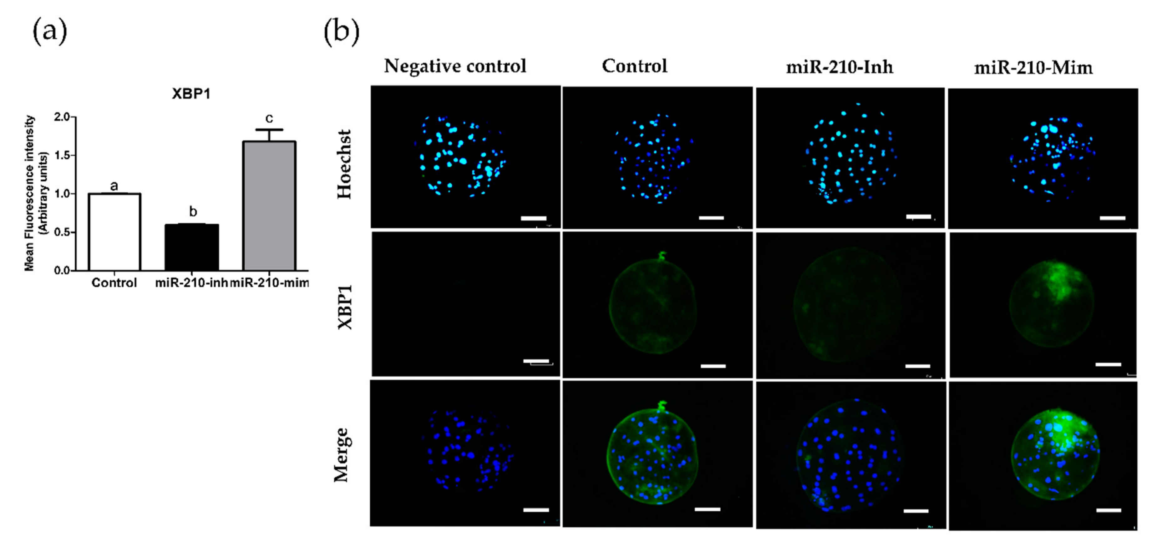 Animals 11 00221 g002 Animals 11 00221 g002