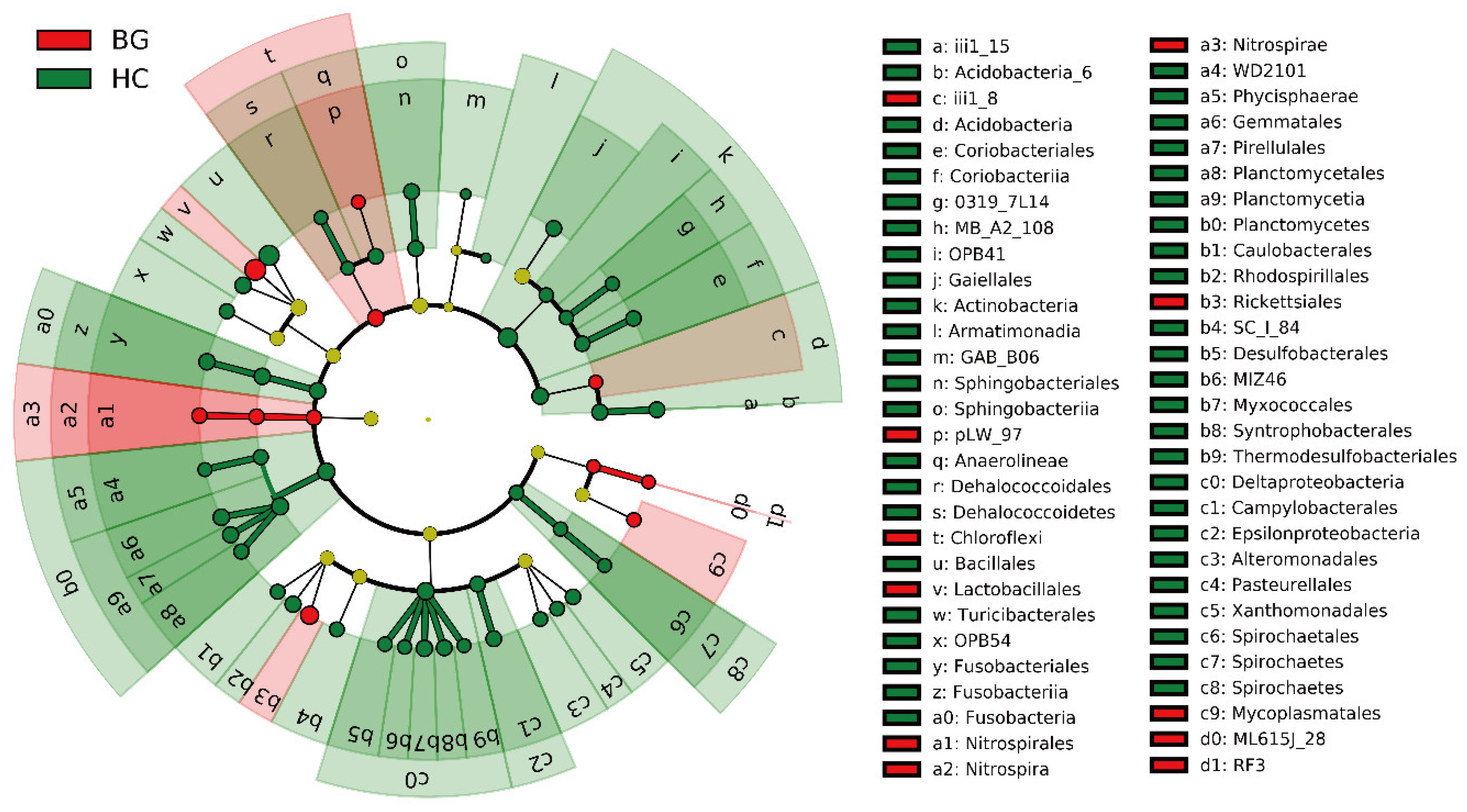 Animals Free Full Text Is Intestinal Bacterial Diversity Enhanced By Trans Species Spread In The Mixed Species Flock Of Hooded Crane Grus Monacha And Bean Goose Anser Fabalis Wintering In The Lower And