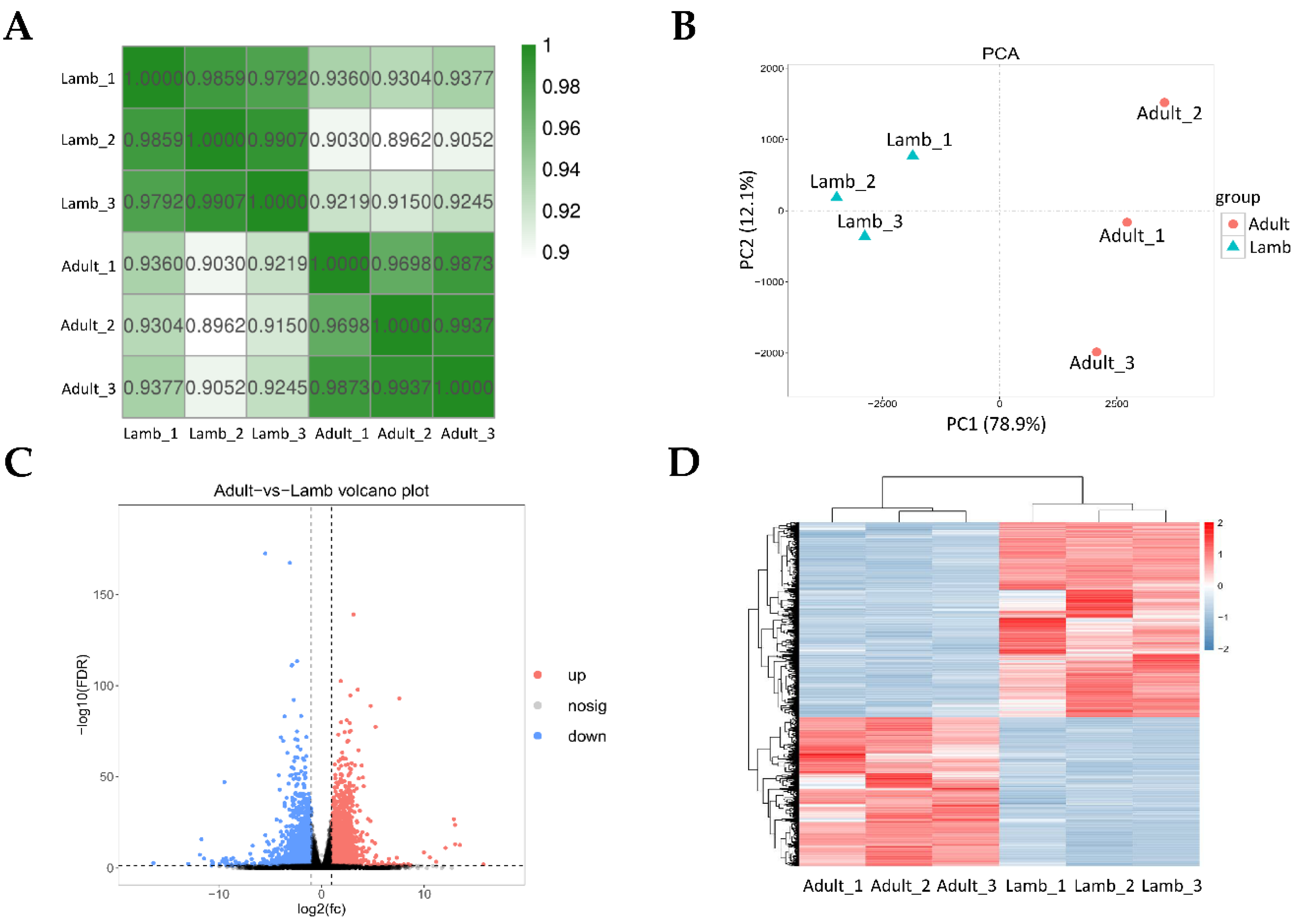 Animals 11 00239 g002