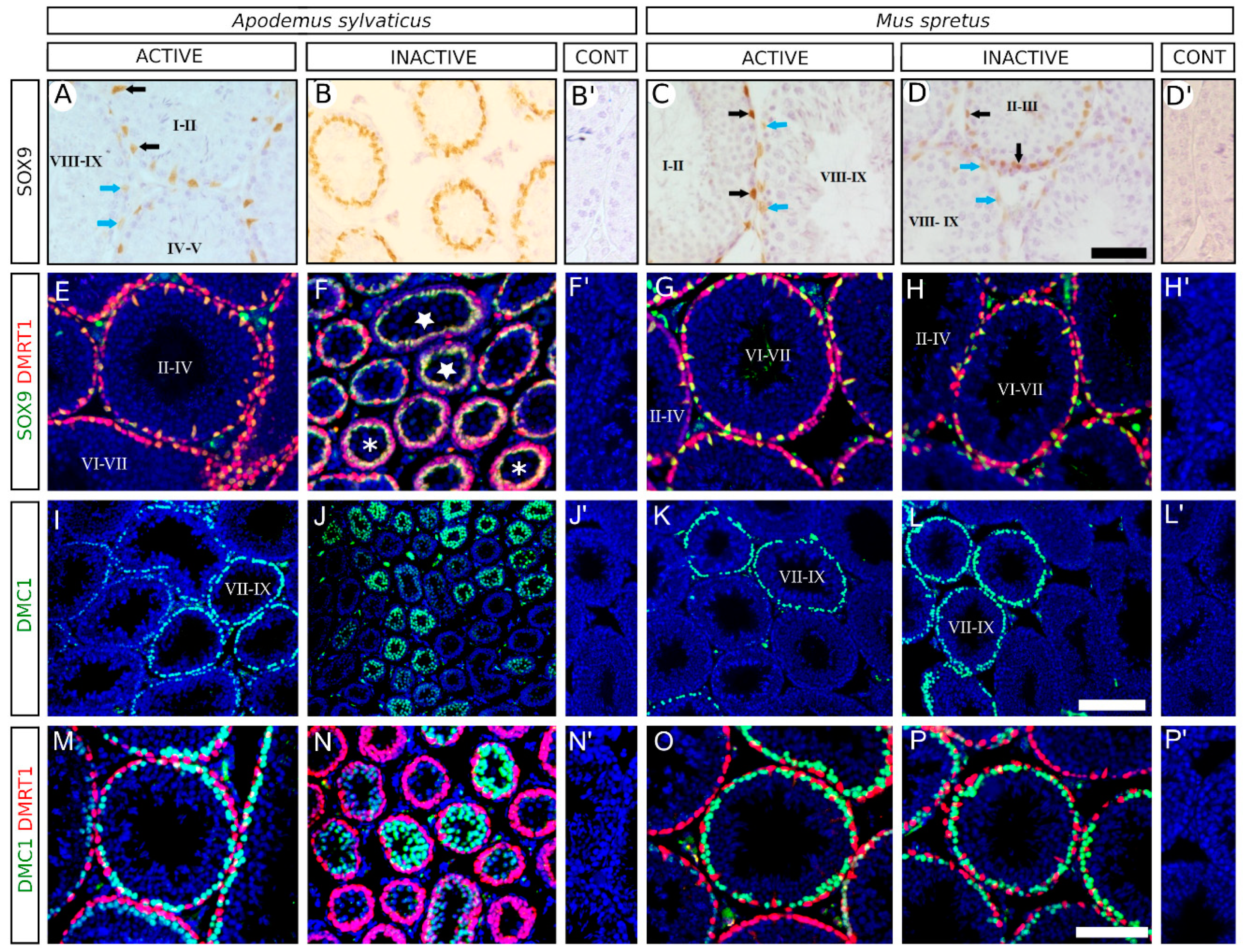 Animals 11 00243 g002 Animals 11 00243 g002