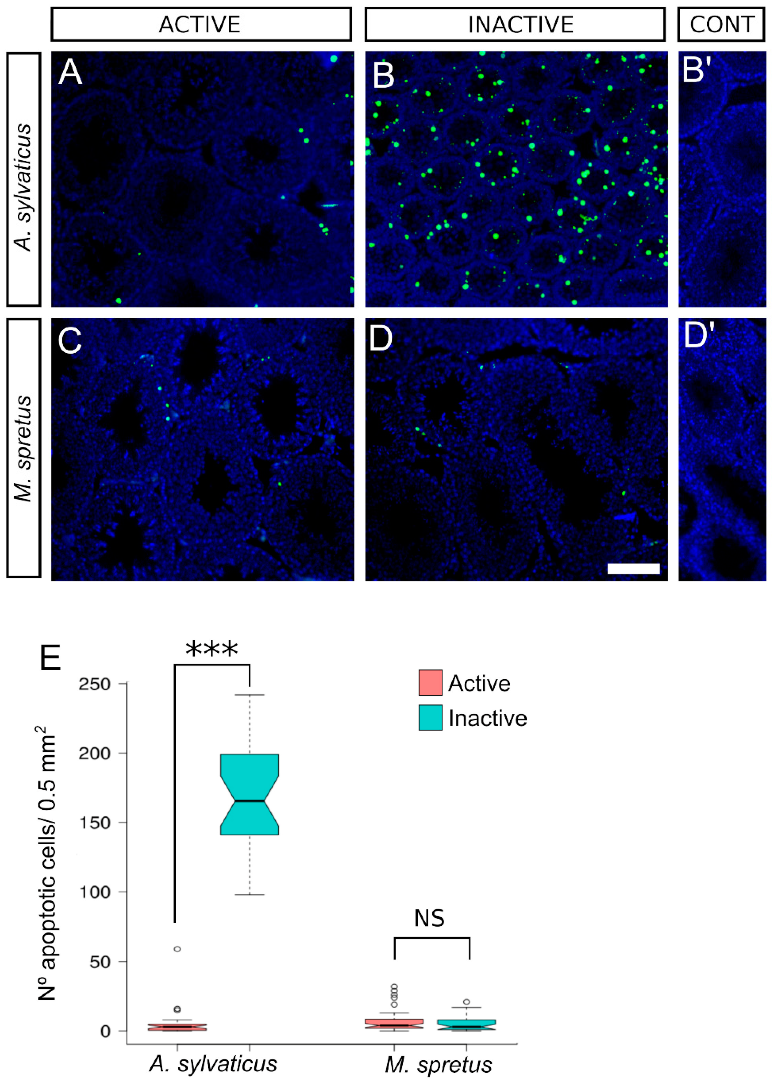 Animals 11 00243 g005 Animals 11 00243 g005