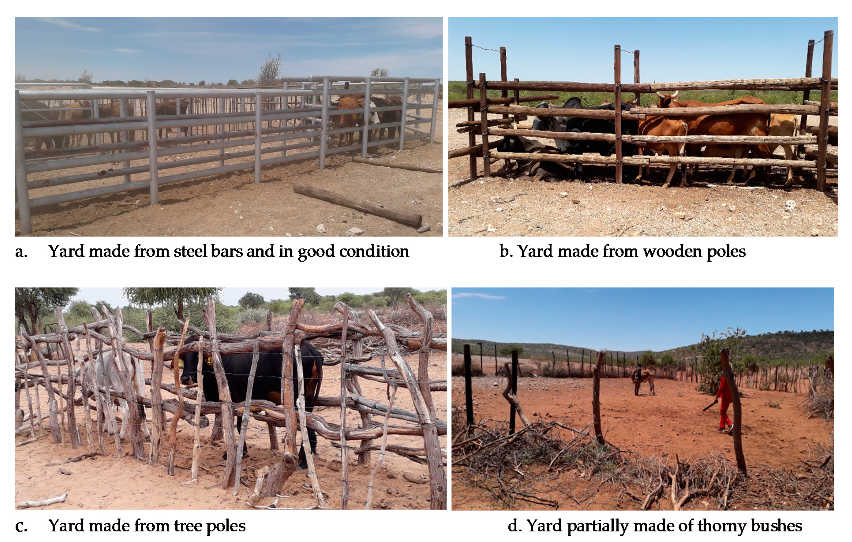 Animals 11 00250 g0a1 Animals 11 00250 g0a1