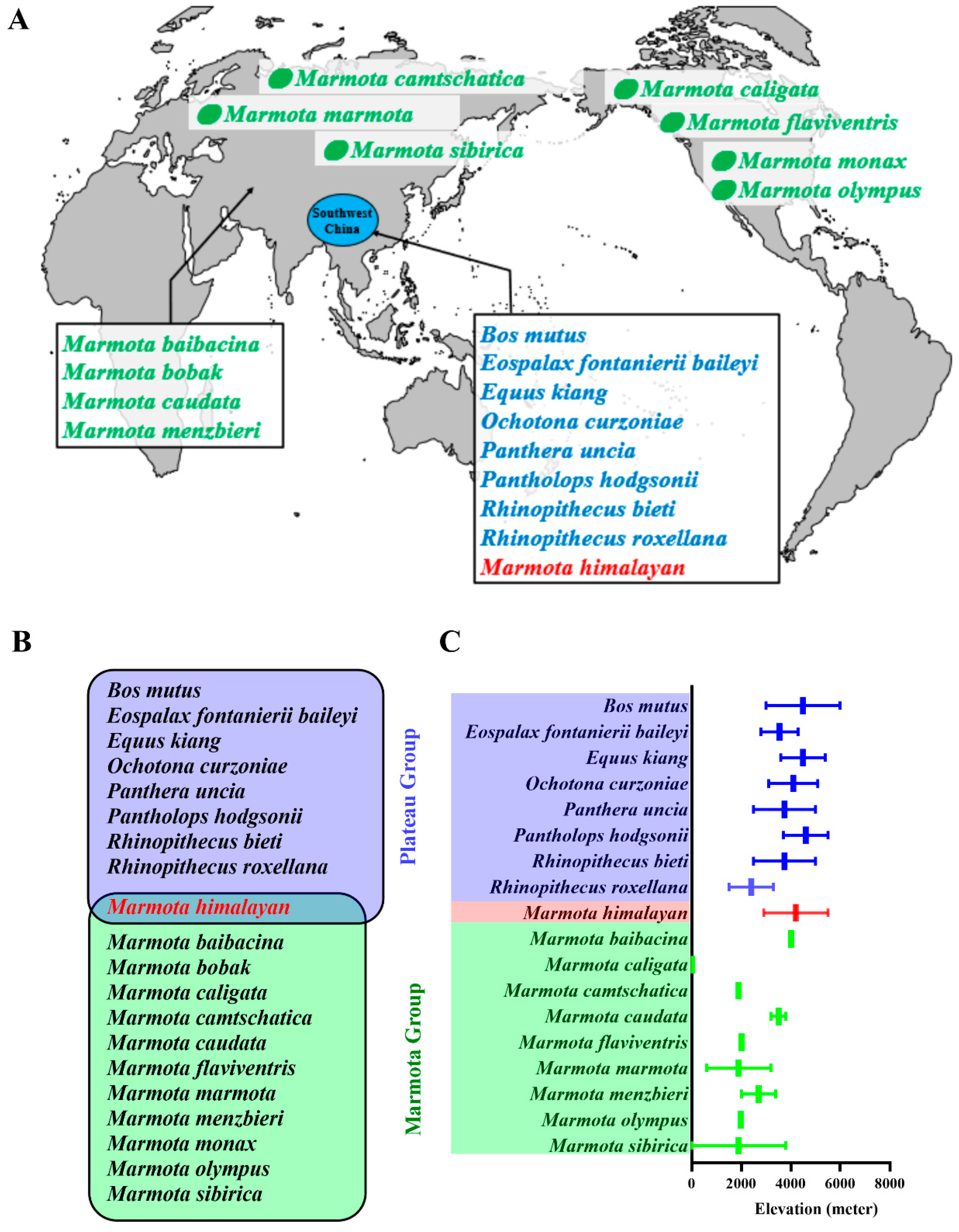 Animals | Free Full-Text | Convergent Evolution of Himalayan Marmot with Some High-Altitude Animals through ND3 Protein Animals | Free Full-Text | Convergent Evolution of Himalayan Marmot with Some High-Altitude Animals through ND3 Protein