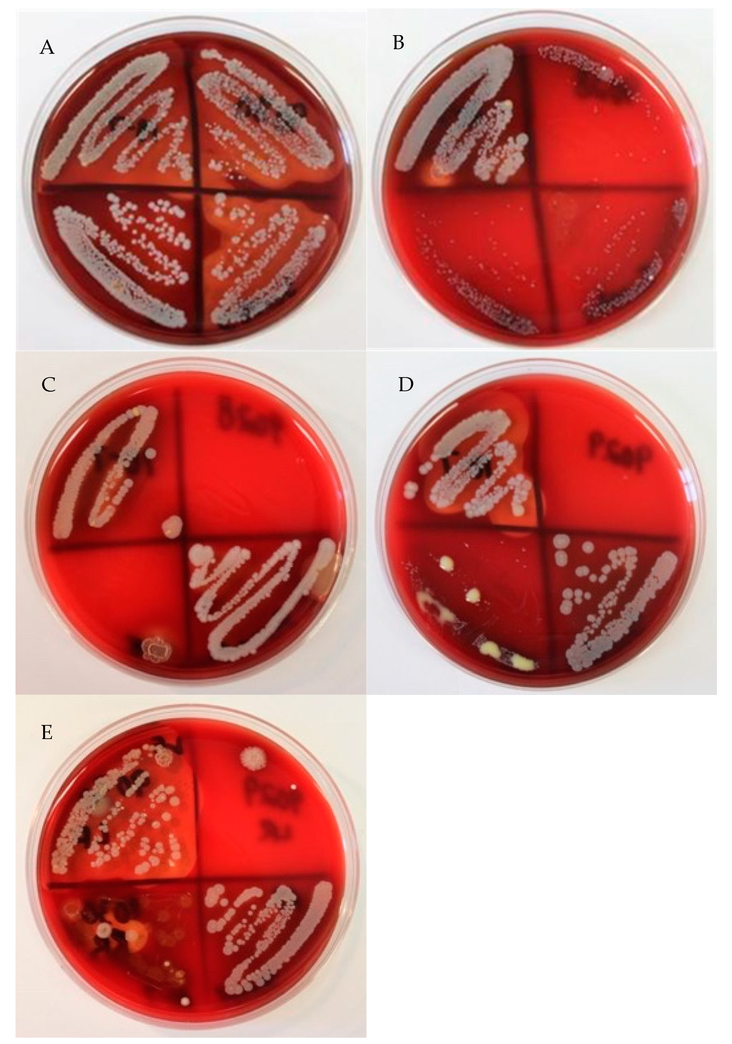 Animals 11 00252 g002