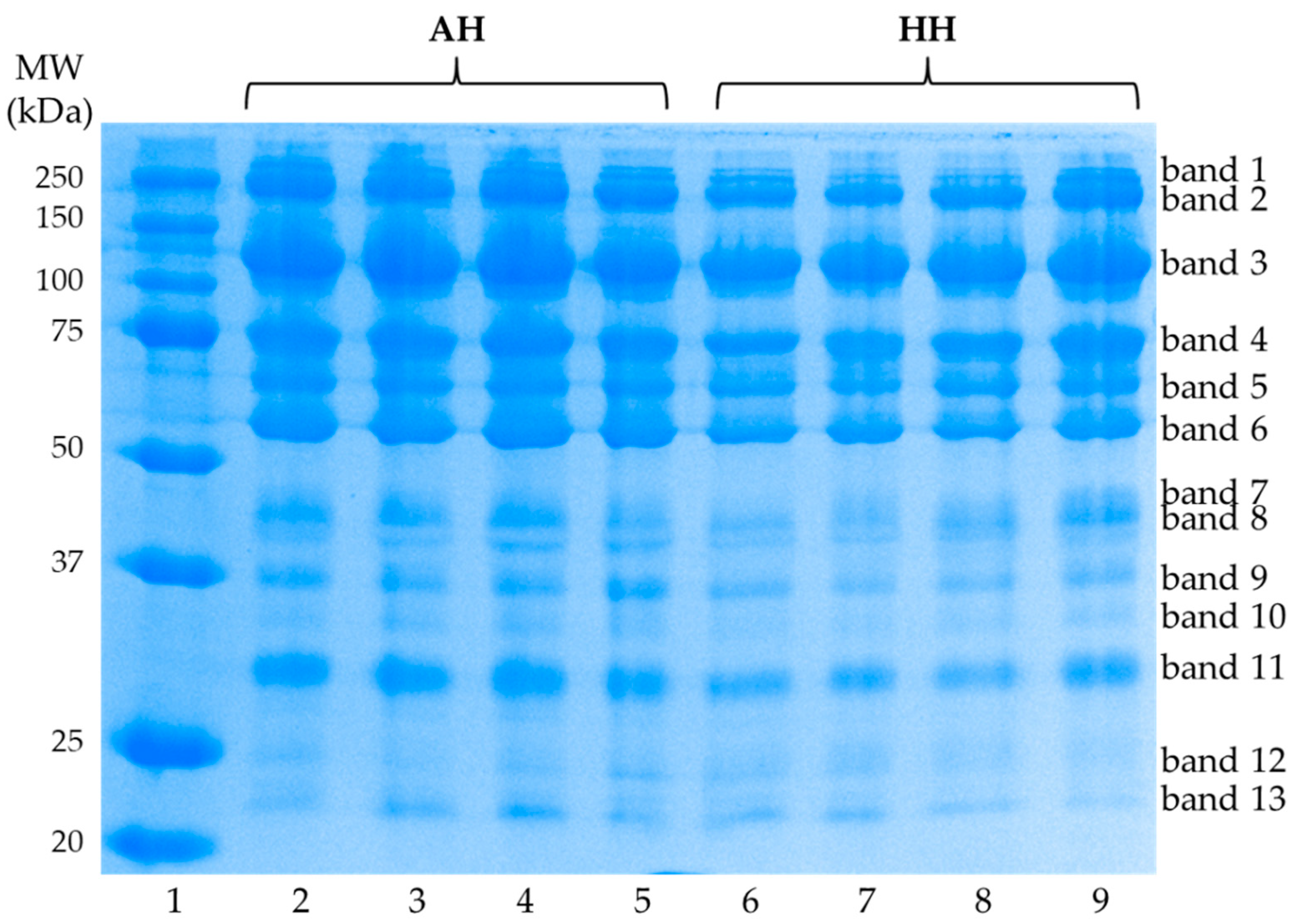 Animals 11 00257 g002 Animals 11 00257 g002