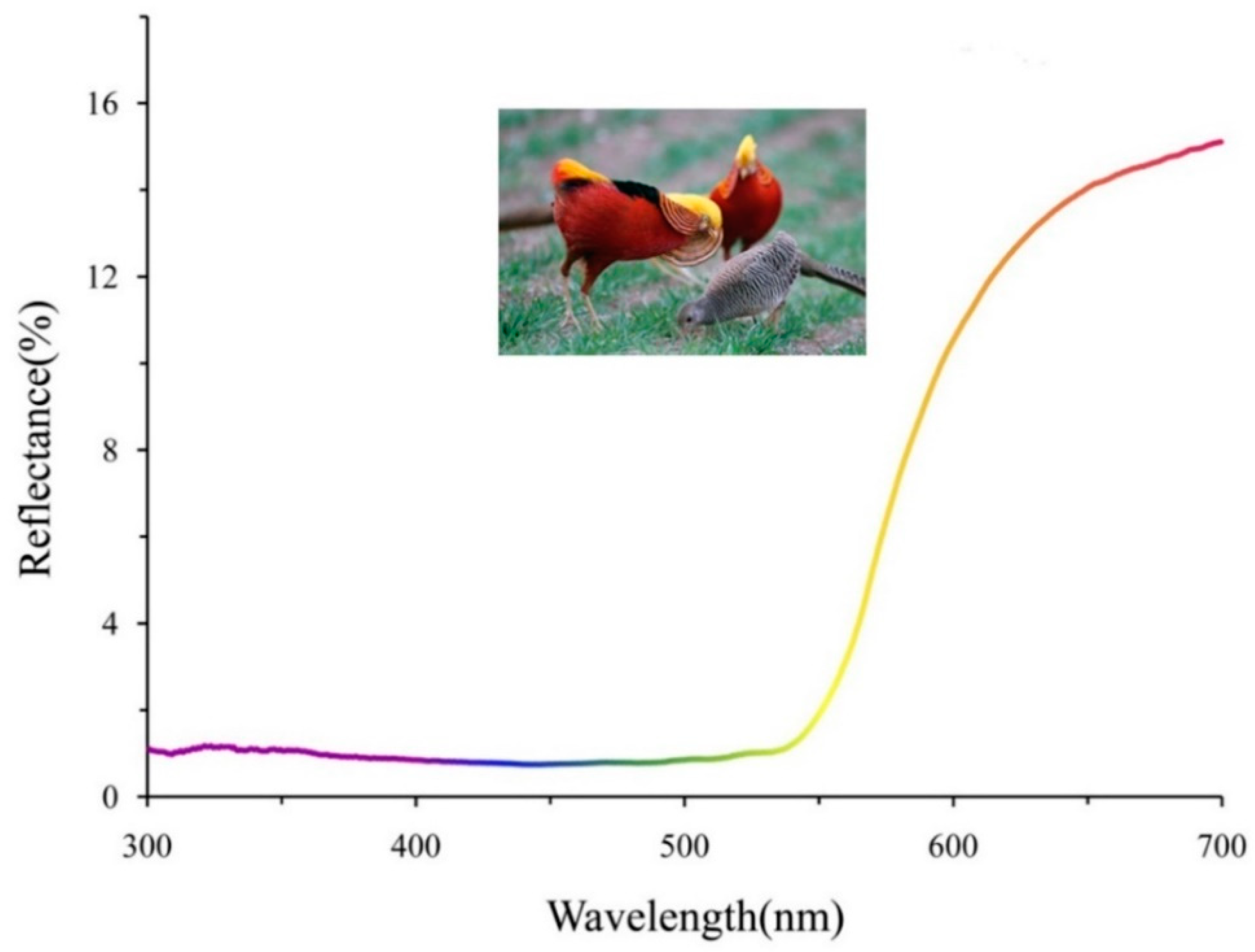 Animals 11 00276 g001 Animals 11 00276 g001