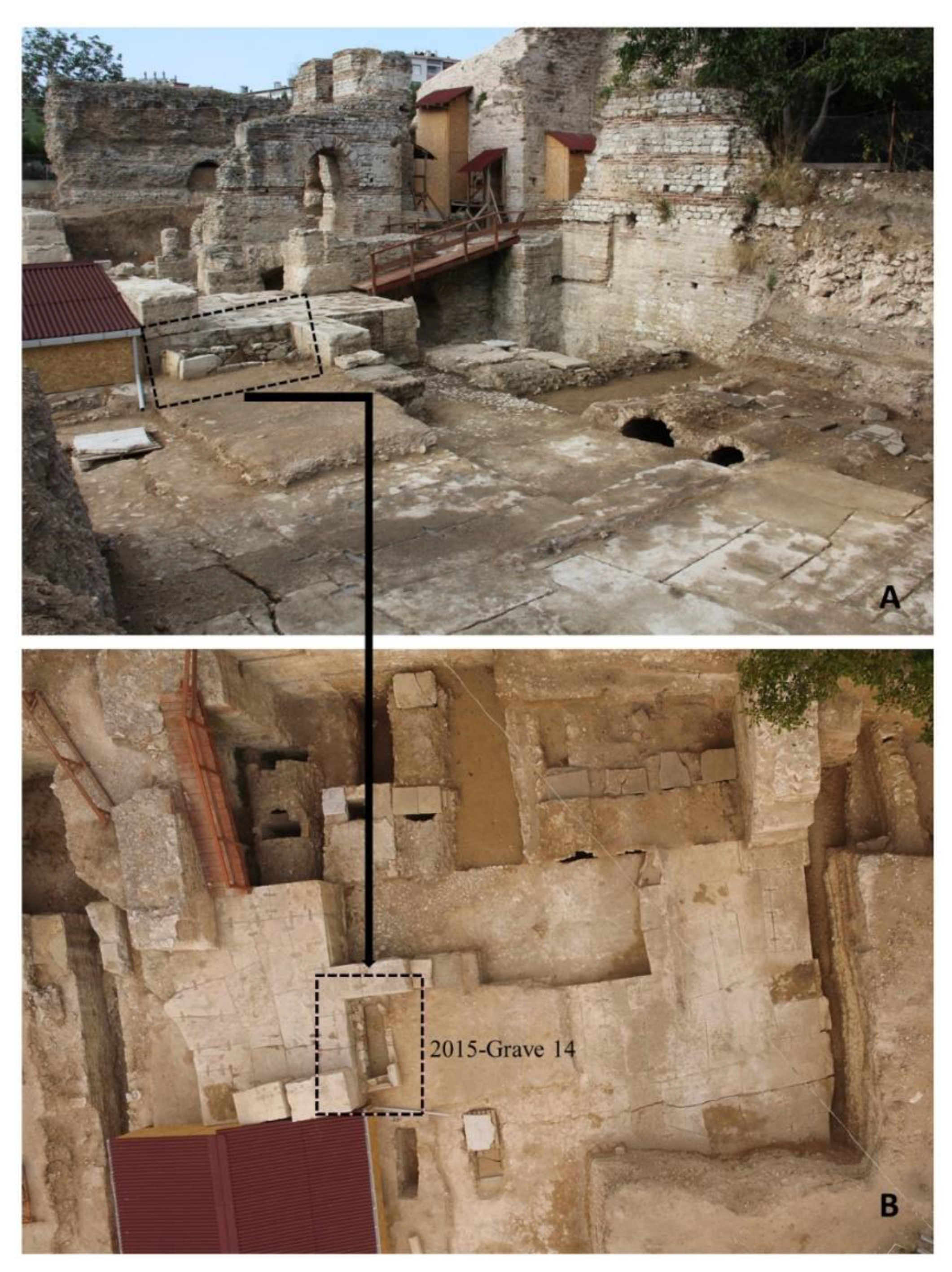 Animals 11 00288 g003 Animals 11 00288 g003