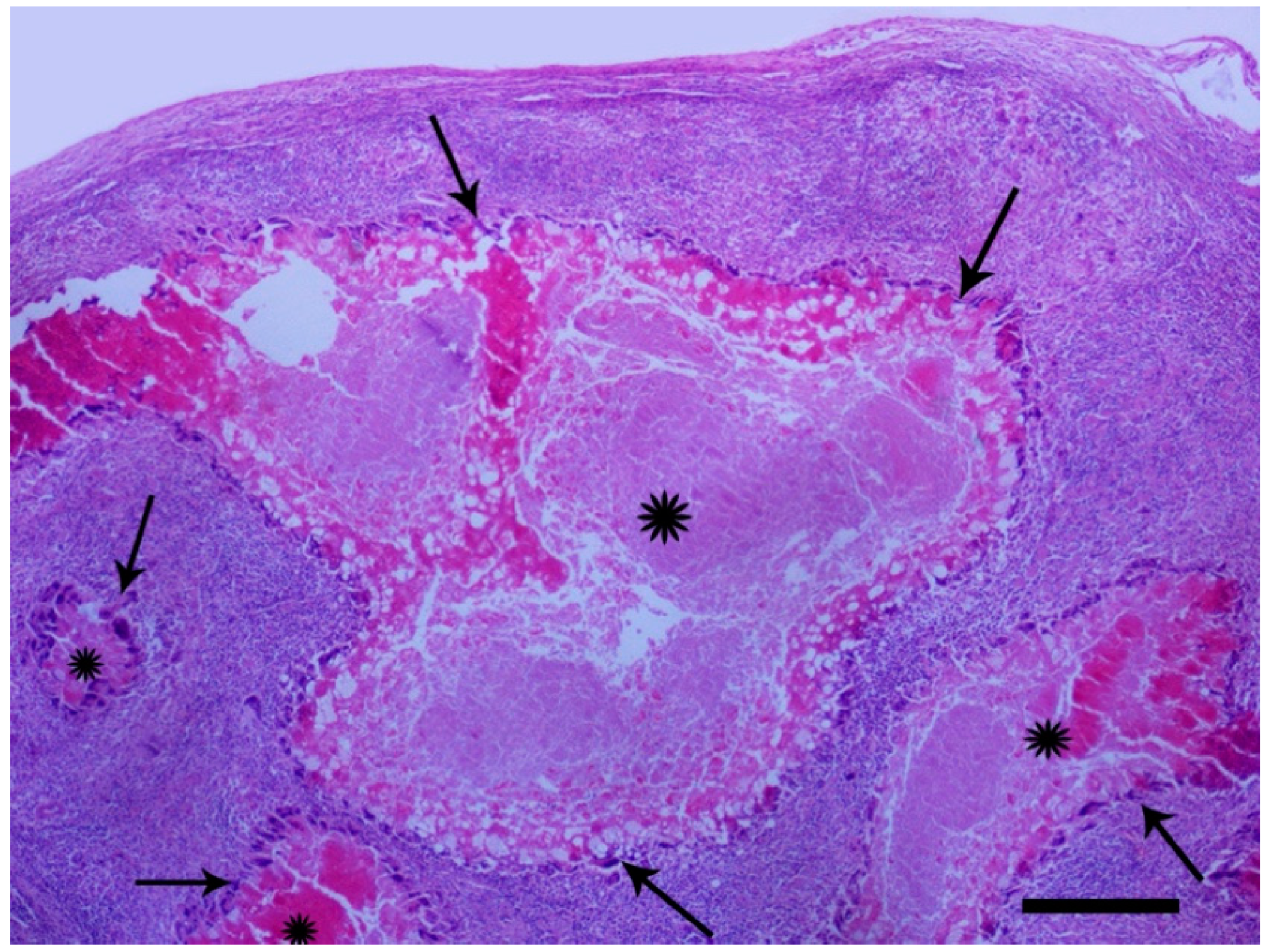 Animals 11 00291 g004 Animals 11 00291 g004