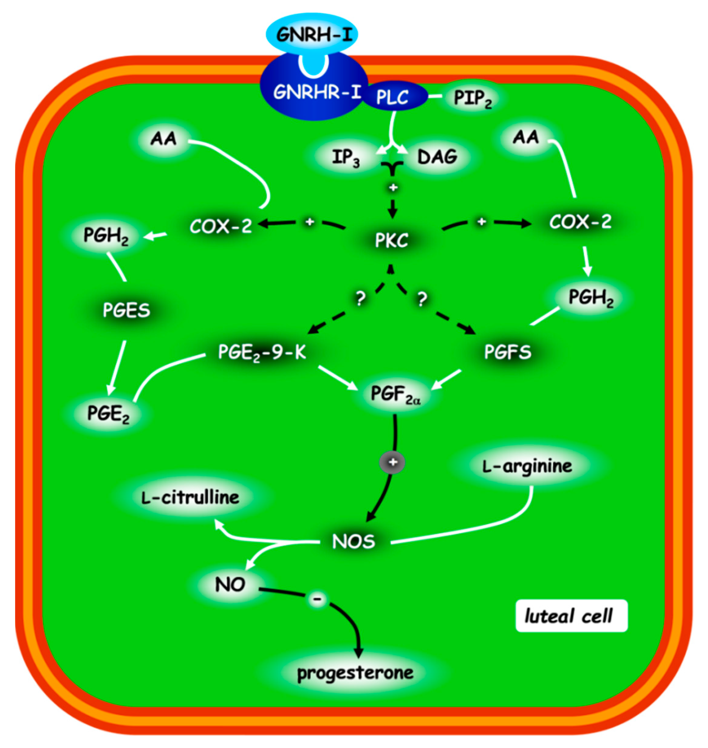 Animals 11 00296 g003 Animals 11 00296 g003