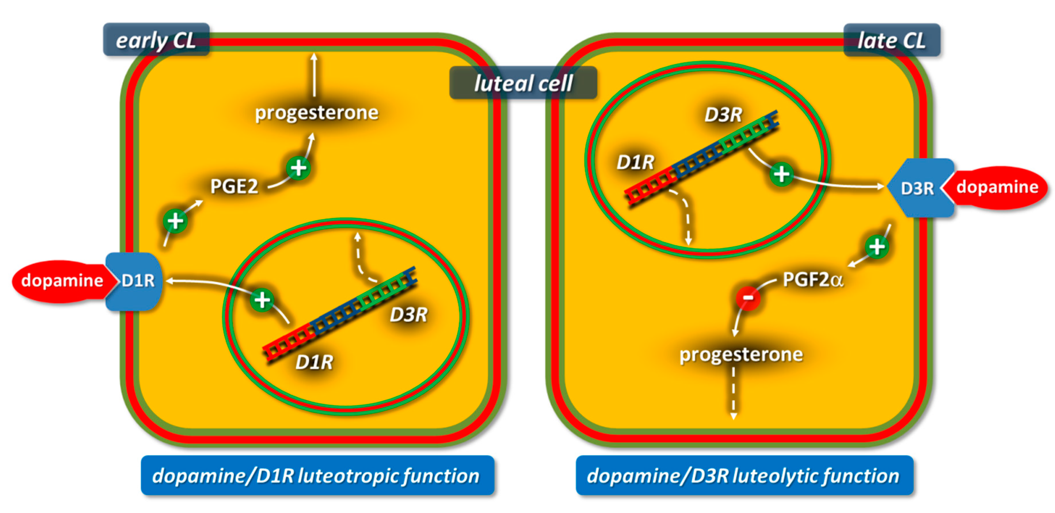 Animals 11 00296 g005 Animals 11 00296 g005