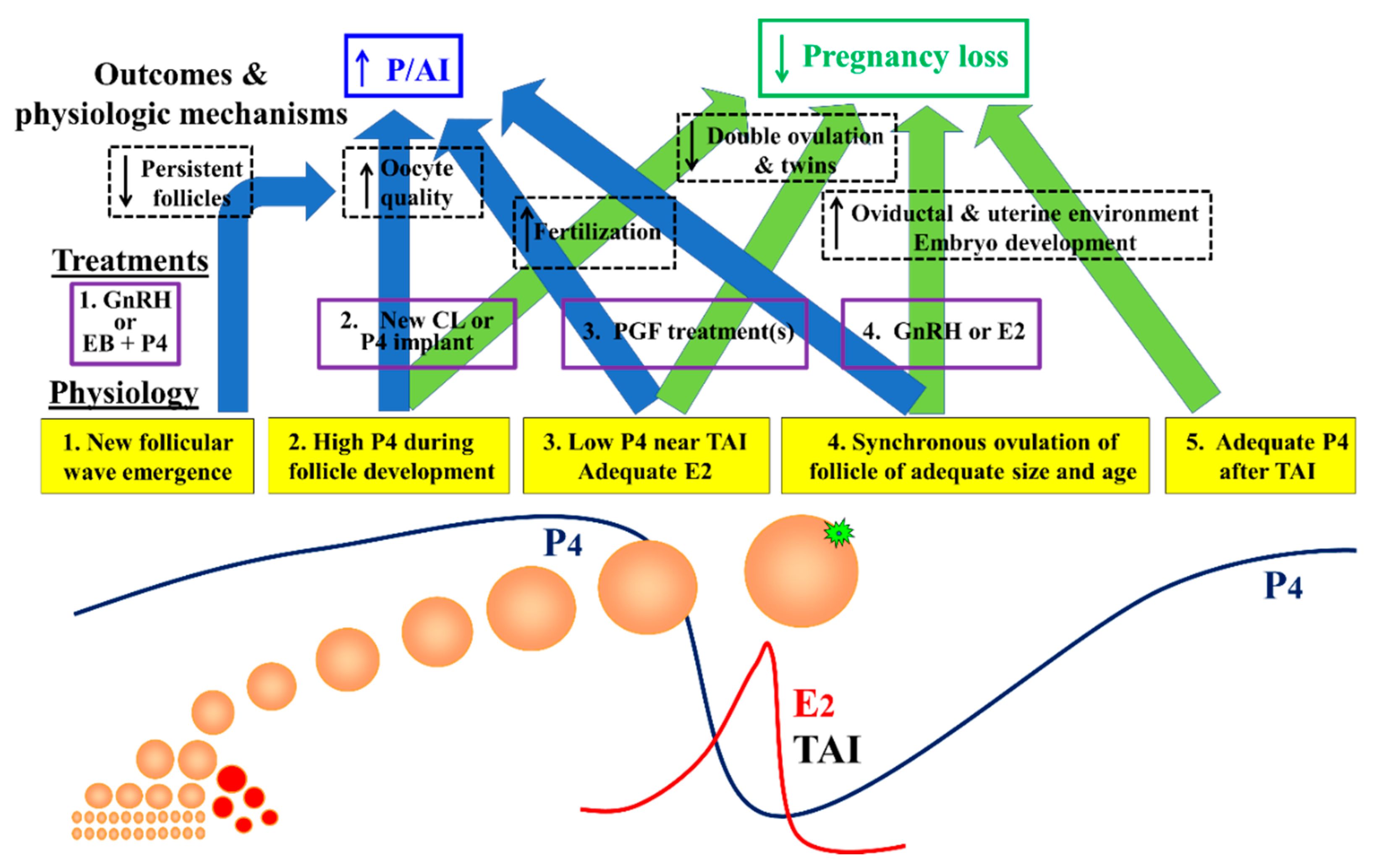 Animals | Free Full-Text | Factors That Optimize Reproductive Efficiency in Dairy Herds with an Emphasis on Timed Artificial Insemination Programs Animals | Free Full-Text | Factors That Optimize Reproductive Efficiency in Dairy Herds with an Emphasis on Timed Artificial Insemination Programs