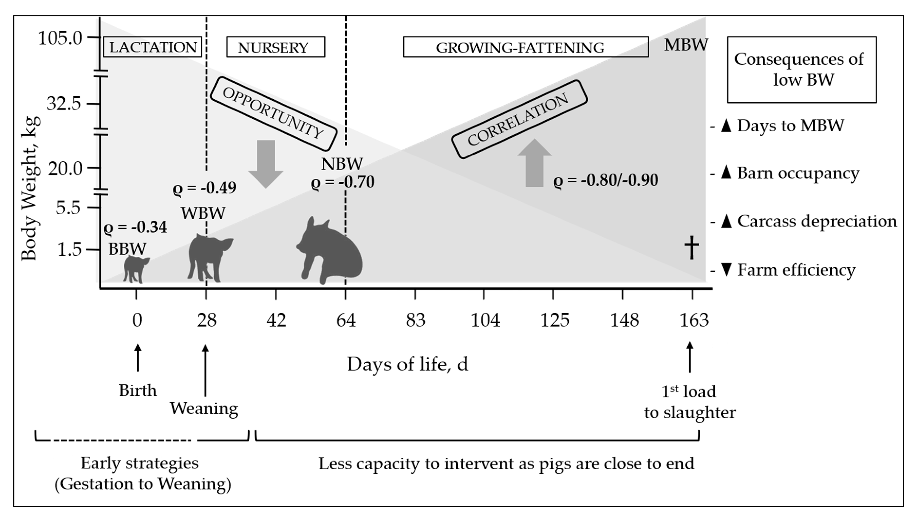 Animals Free Full Text Management And Feeding Strategies In Early Life To Increase Piglet Performance And Welfare Around Weaning A Review Html