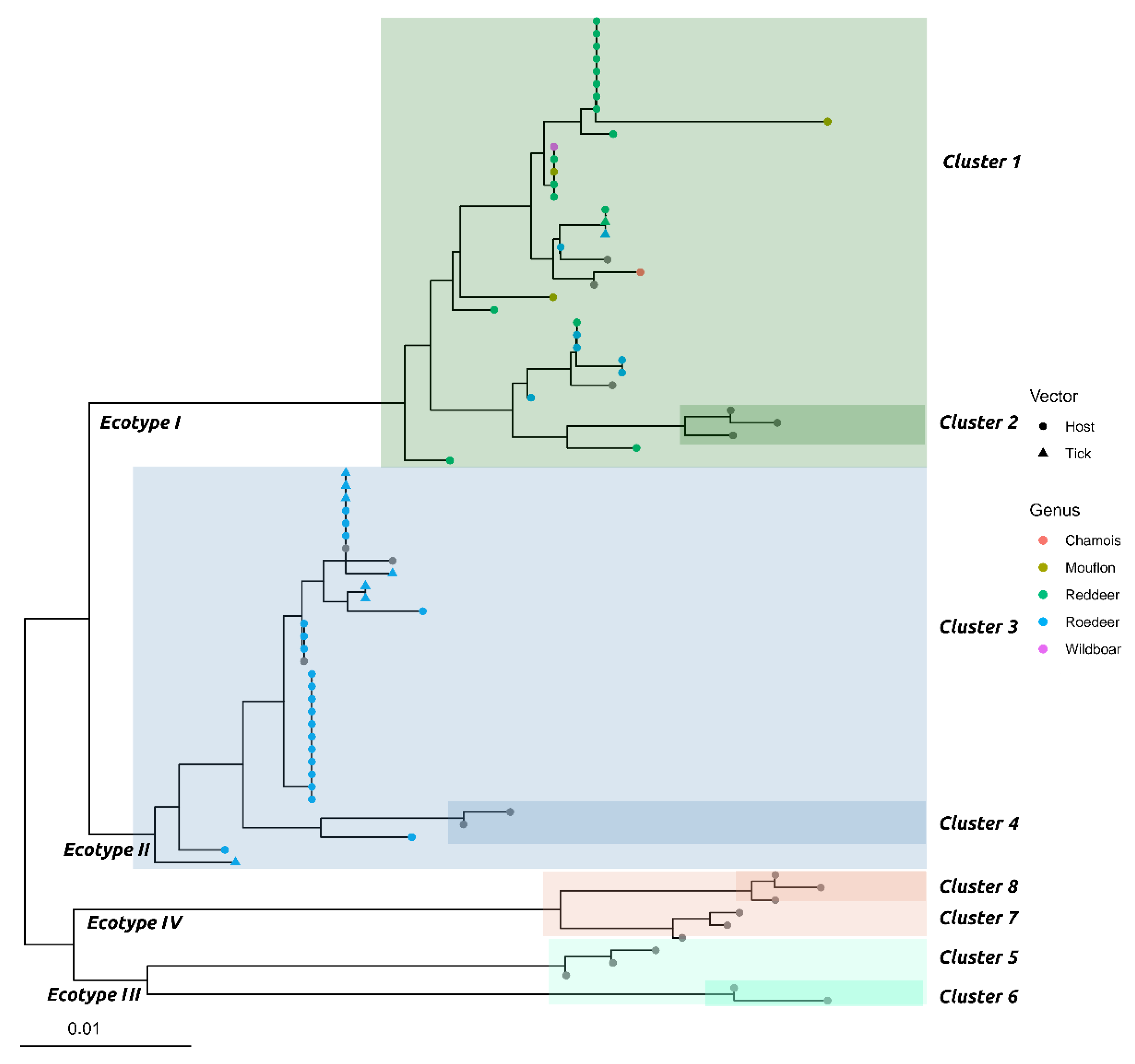 Animals 11 00310 g001 Animals 11 00310 g001