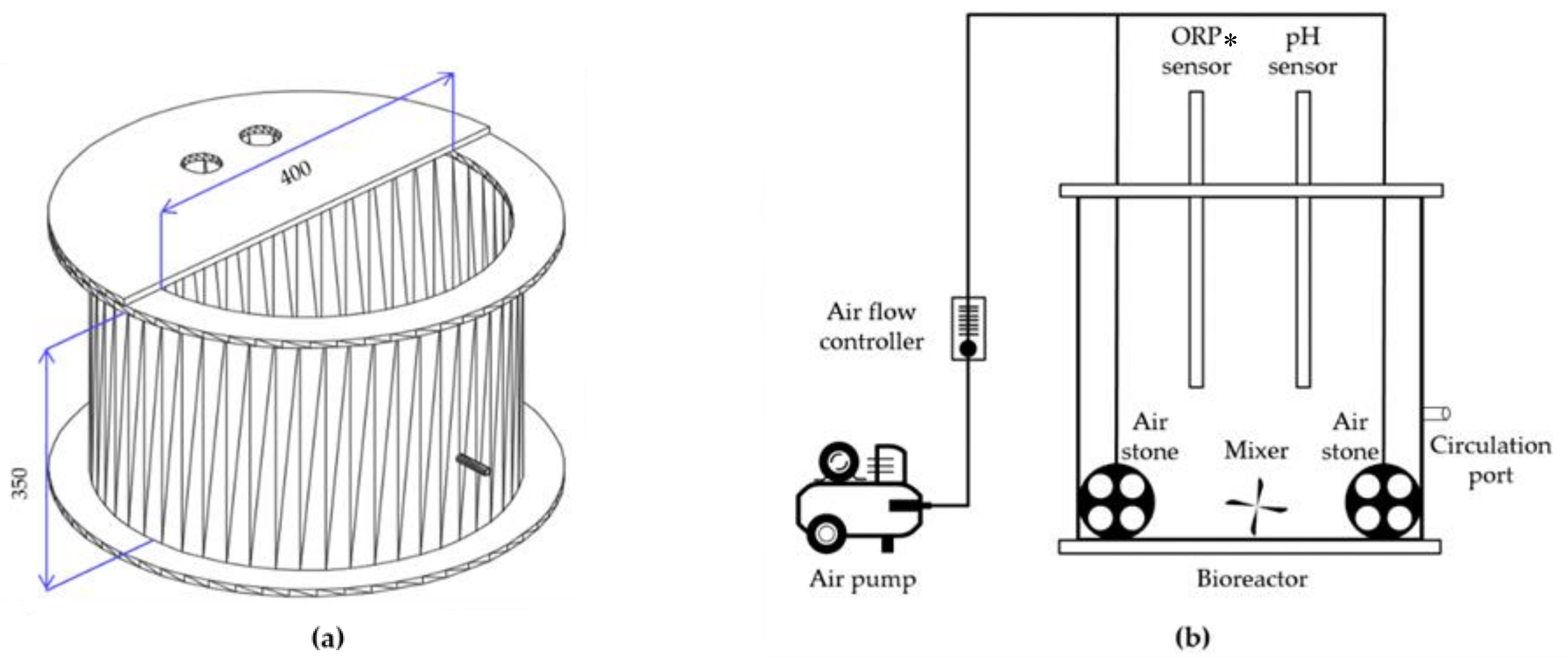 Animals 11 00311 g002
