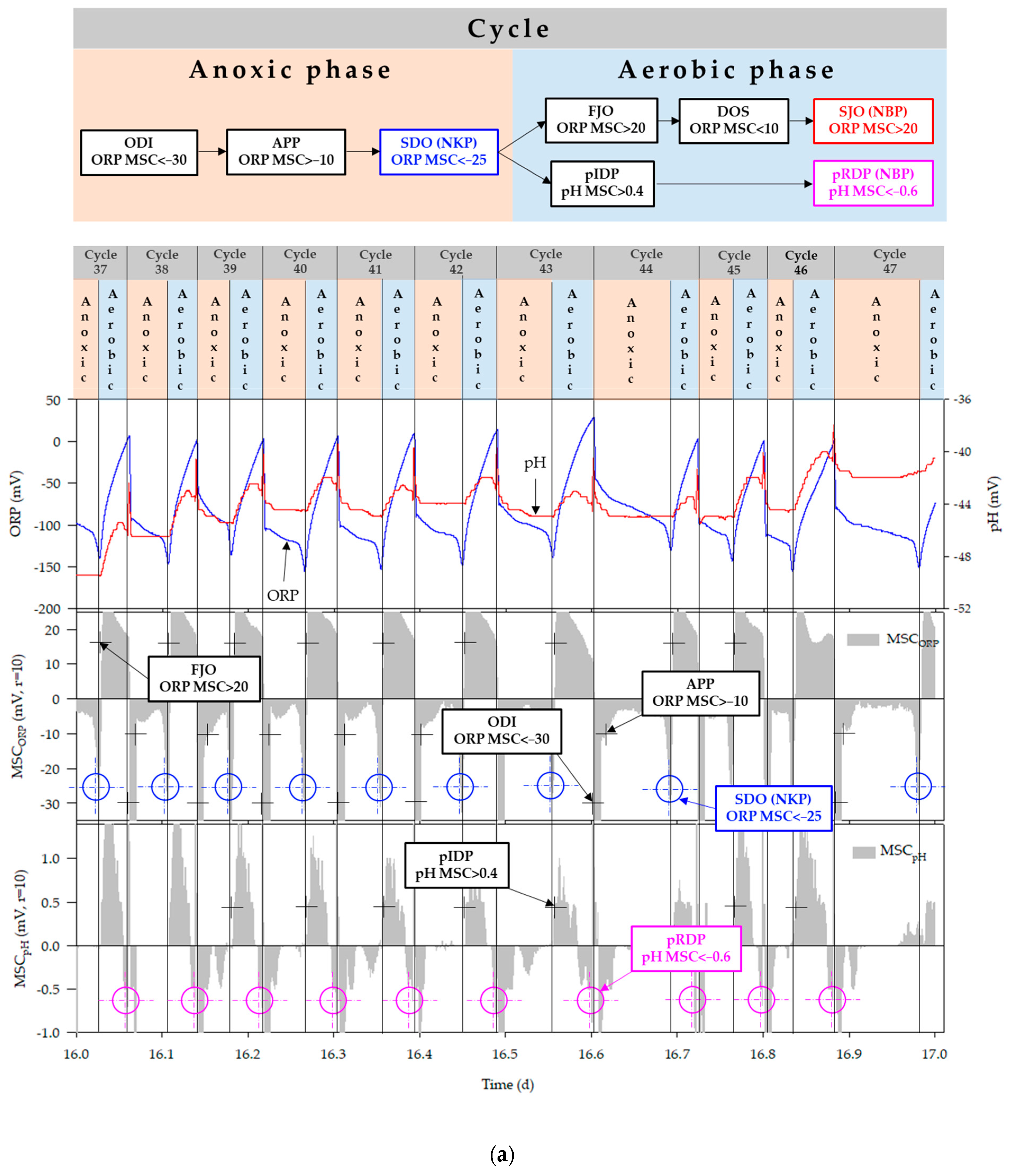 Animals 11 00311 g008a