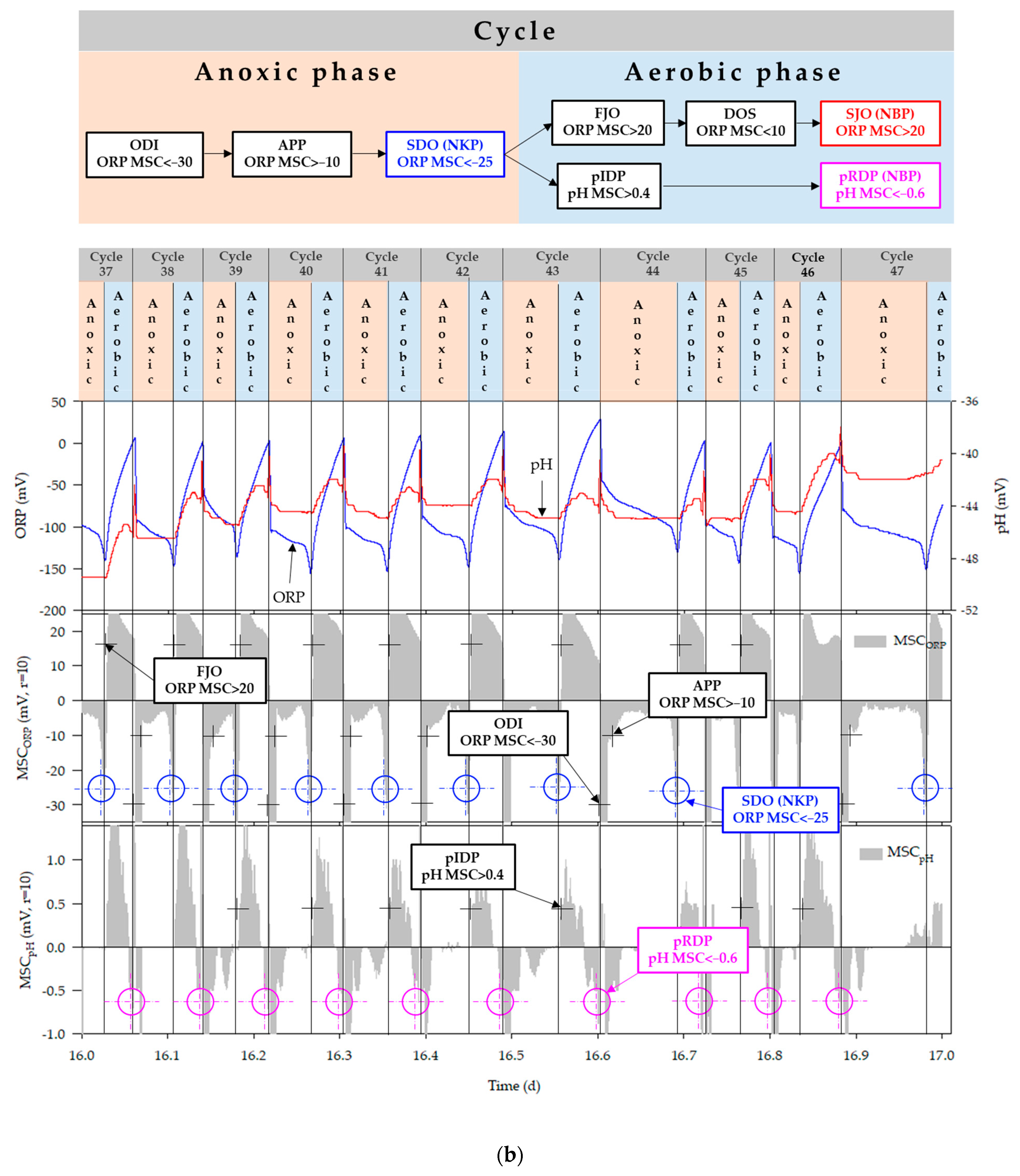 Animals 11 00311 g008b