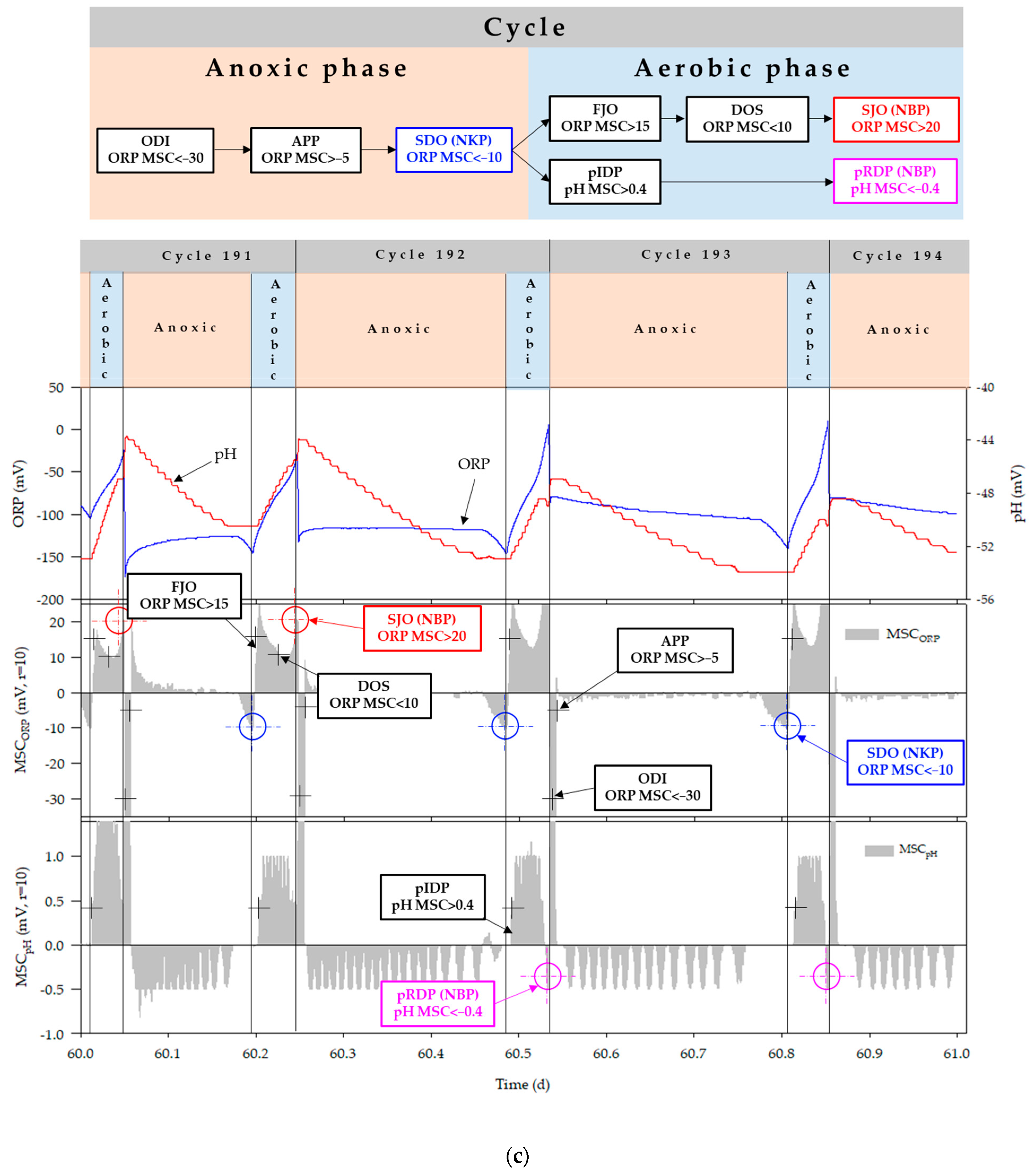 Animals 11 00311 g008c