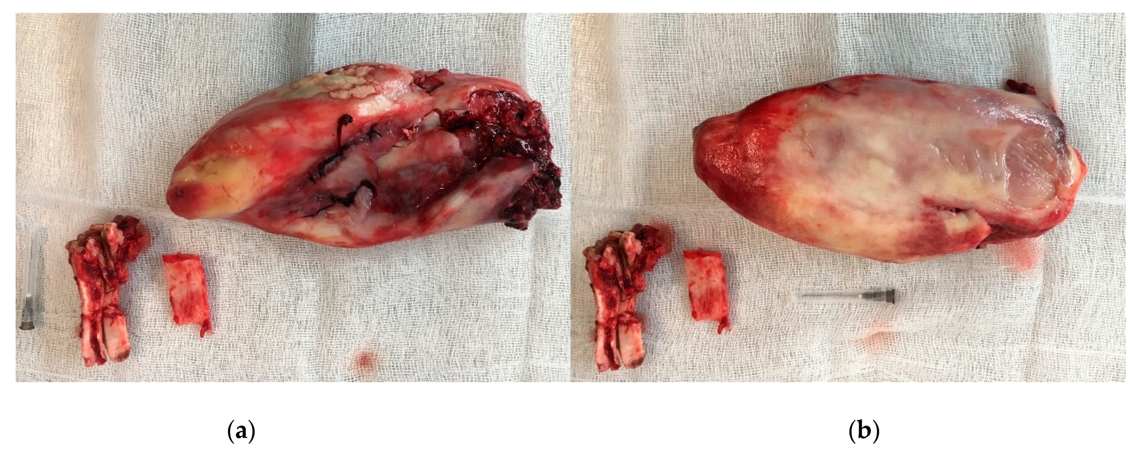 Animals 11 00317 g006