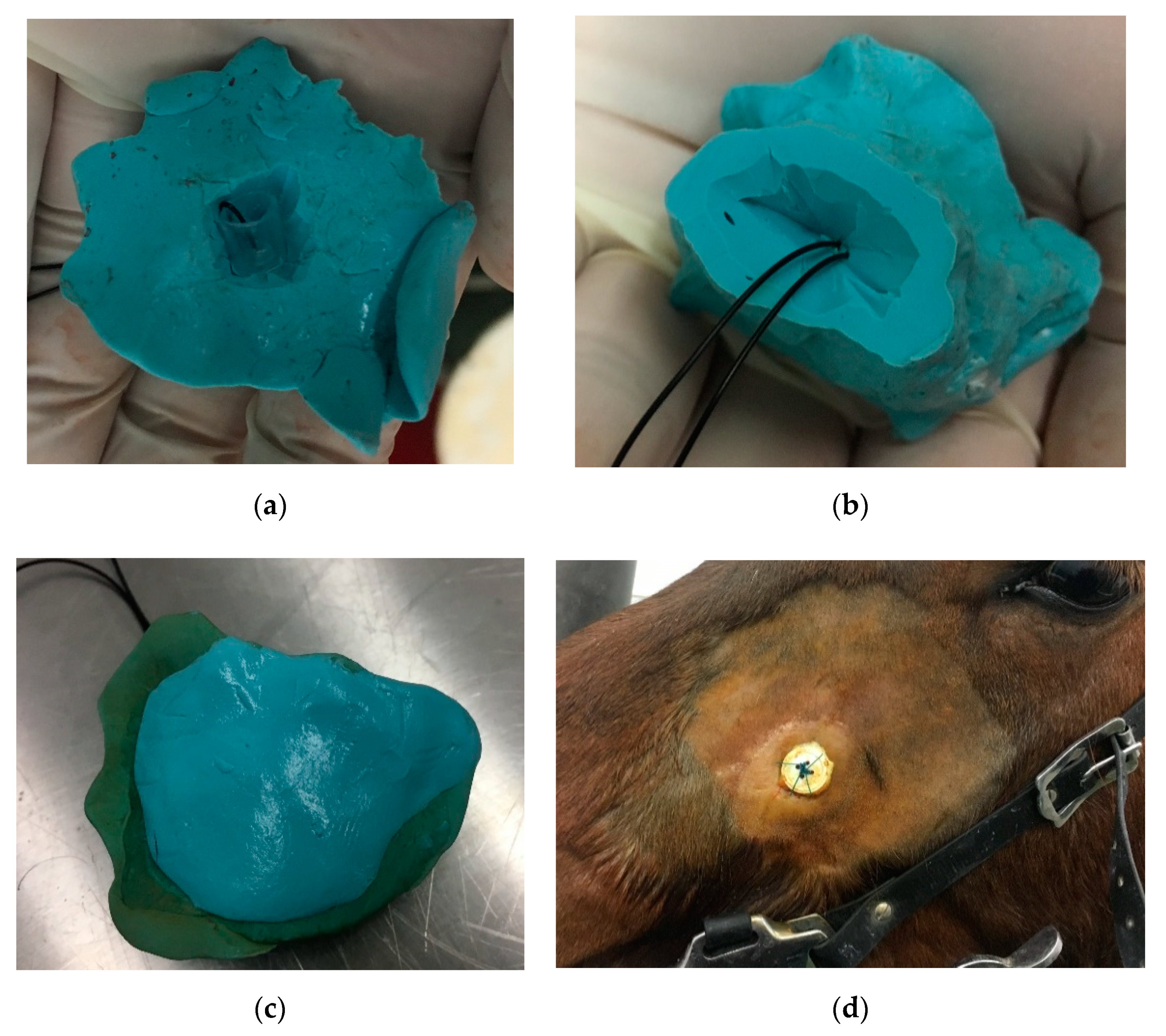 Animals 11 00317 g008